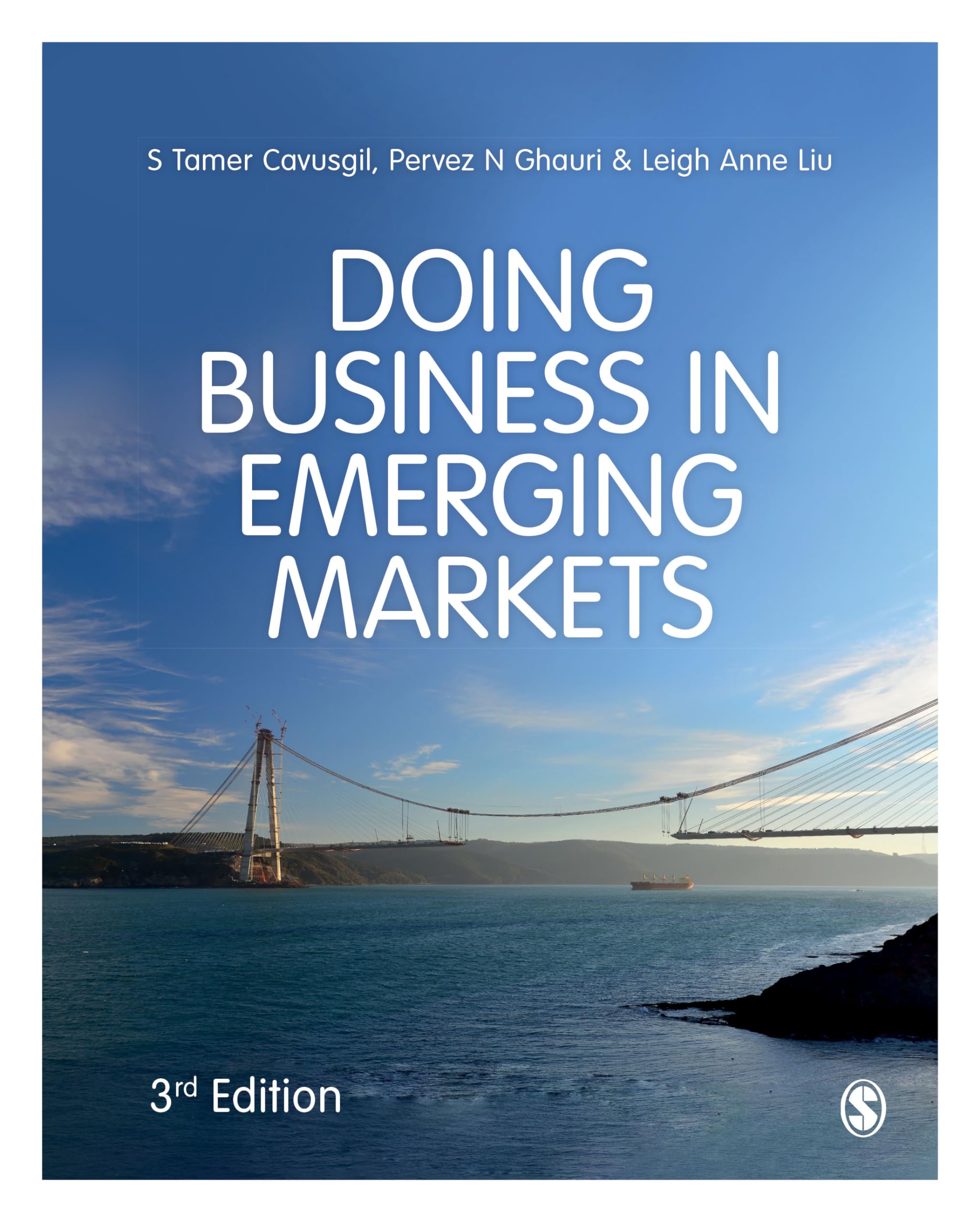 Doing Business in Emerging Markets — used book cover