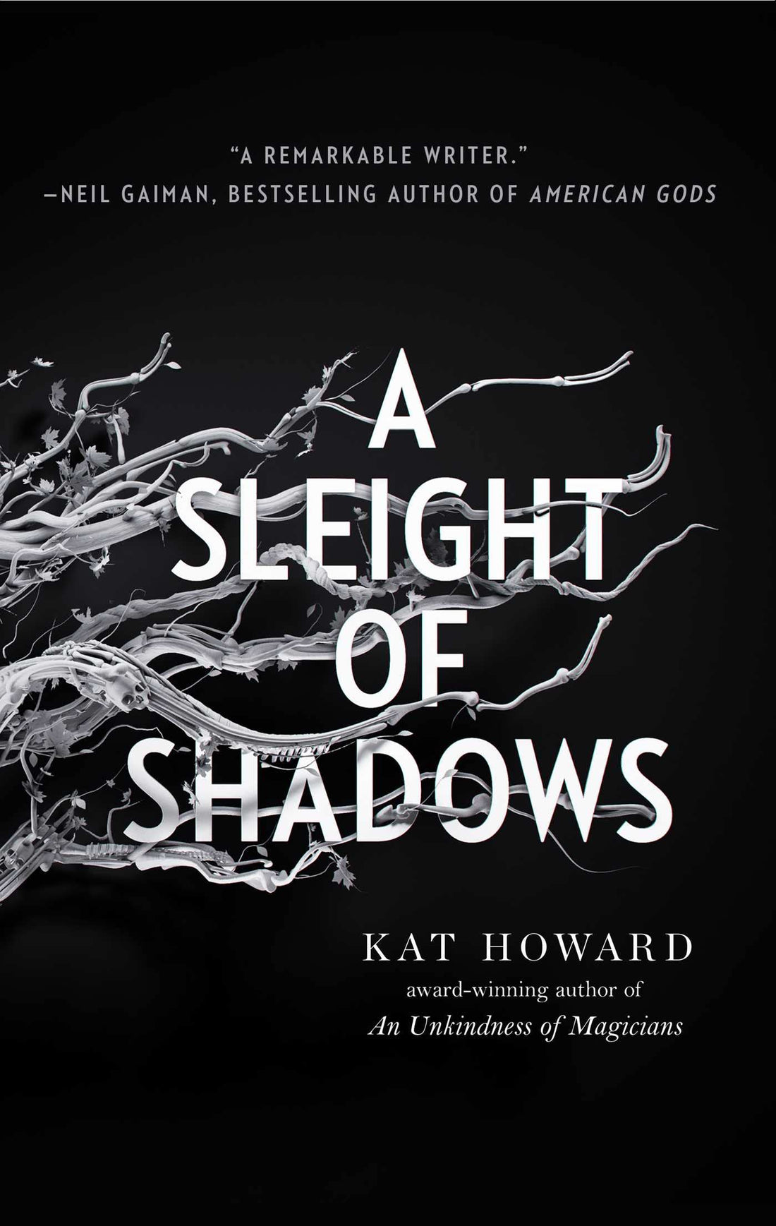 A Sleight of Shadows (2) (Unseen World, The)