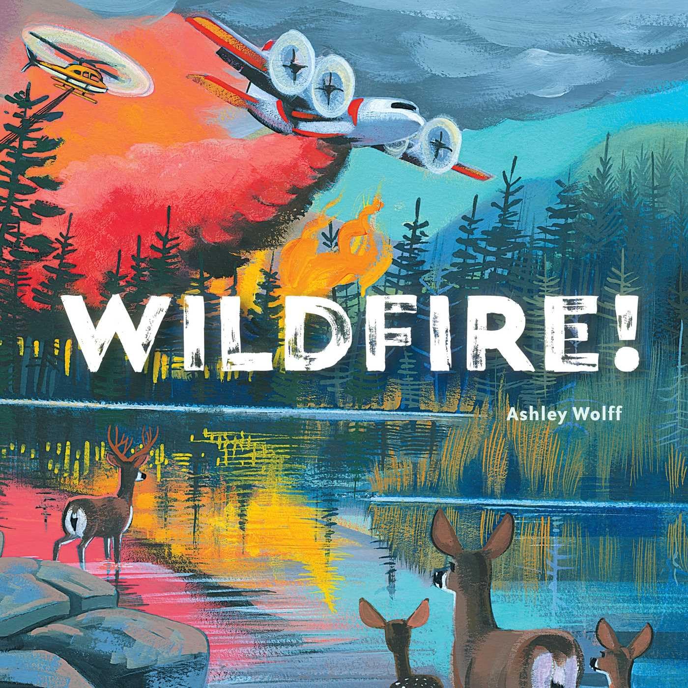 Wildfire! — used book cover
