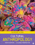 Cultural Anthropology: A Global Perspective — used book cover