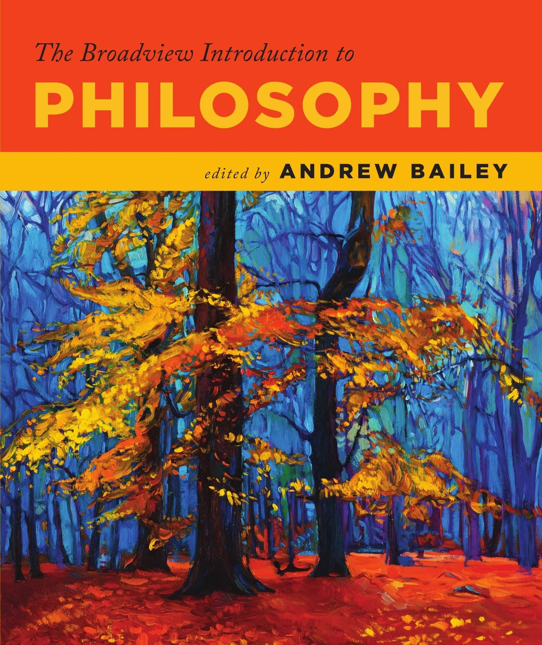 The Broadview Introduction to Philosophy — used book cover