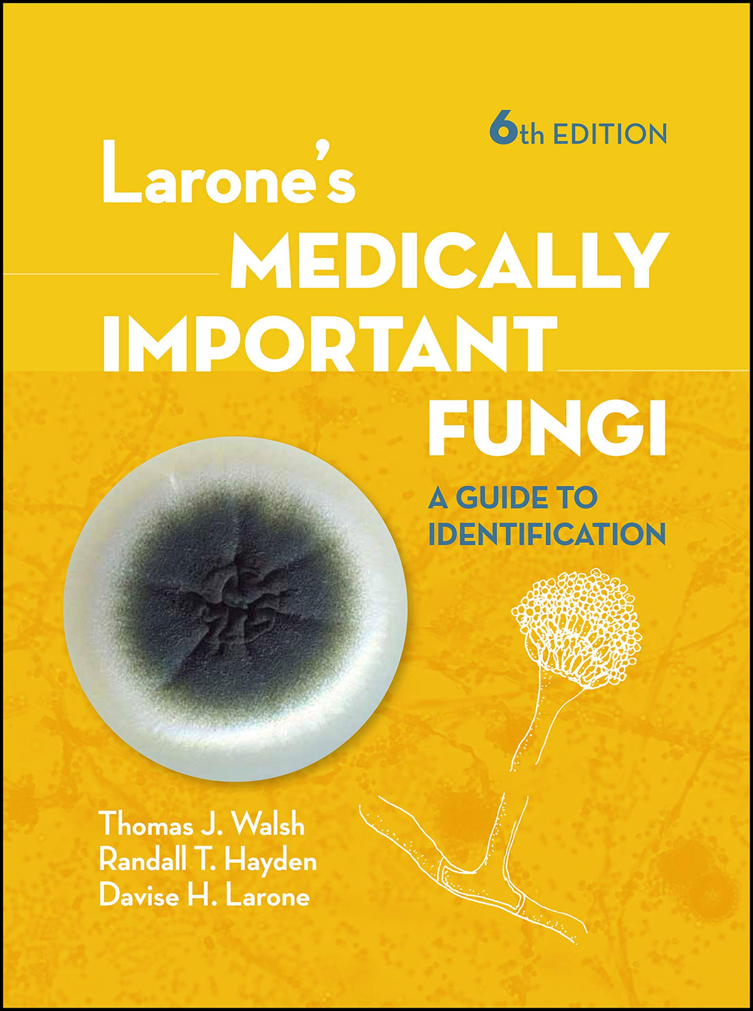 Larone&