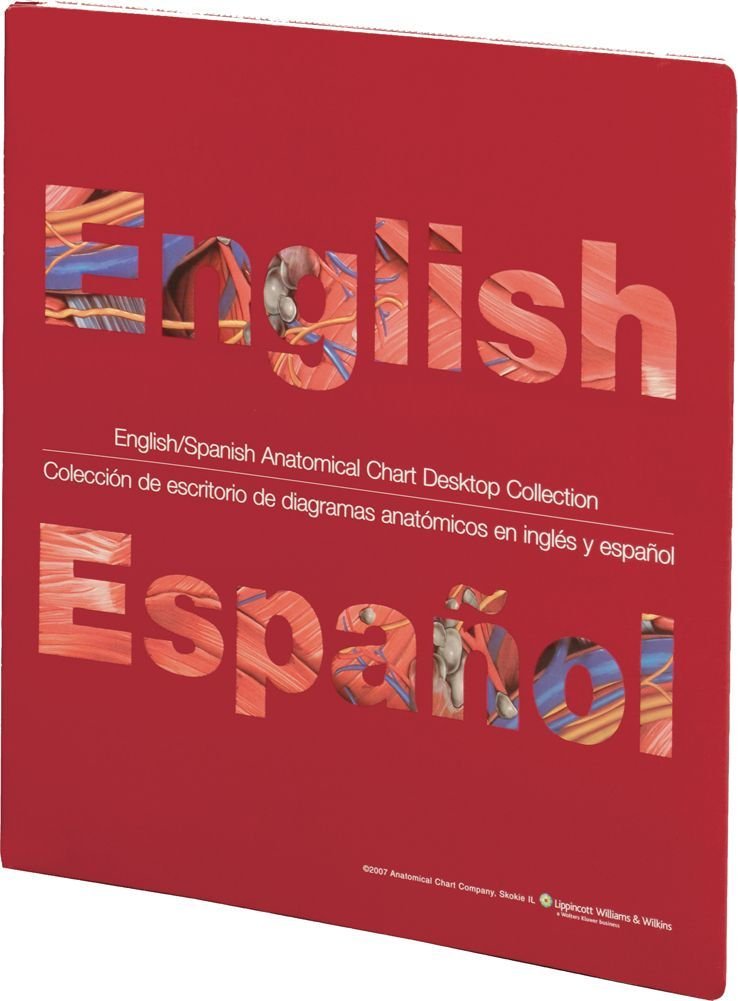 English/Spanish Anatomical Chart Desktop Collection — used book cover