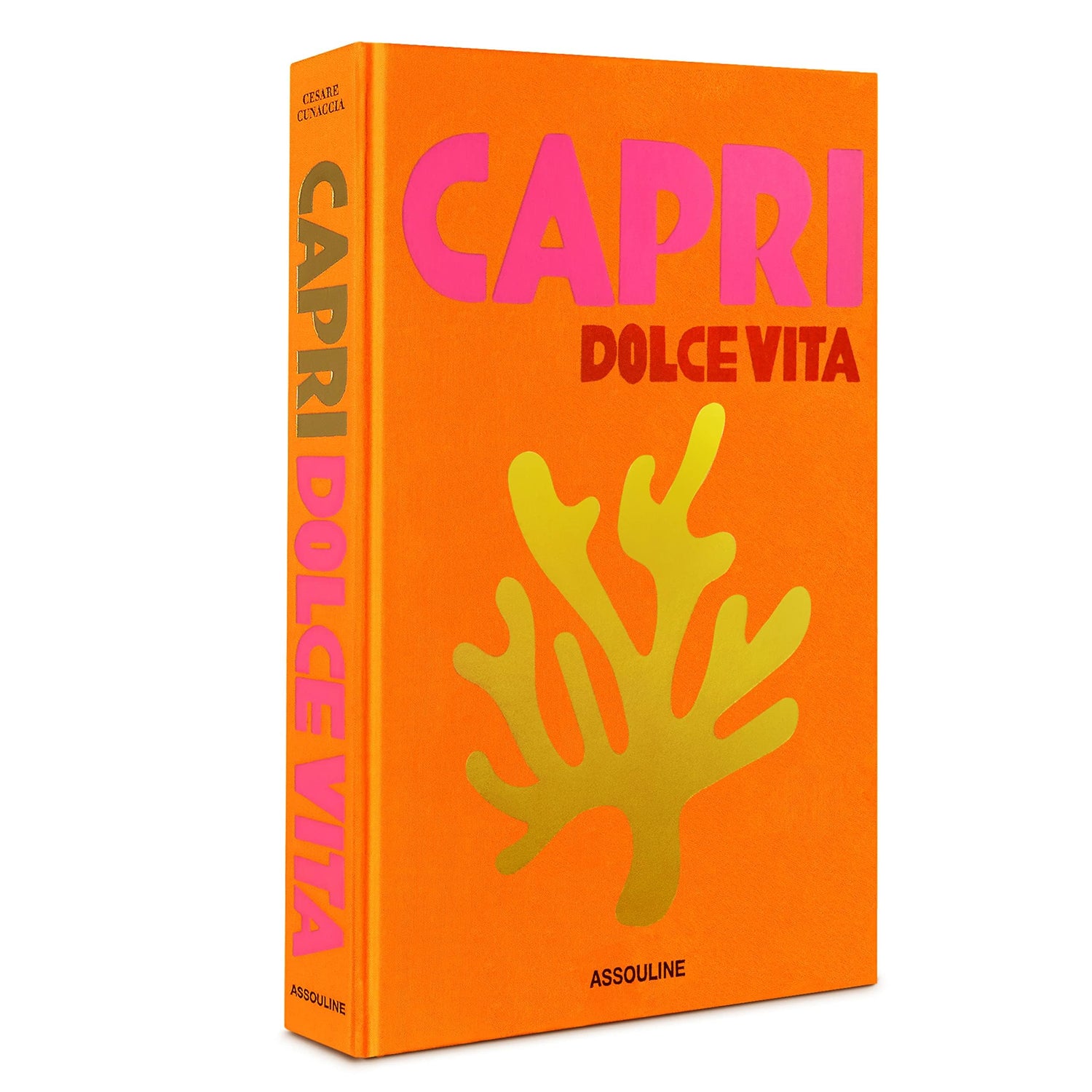 Capri Dolce Vita — used book cover