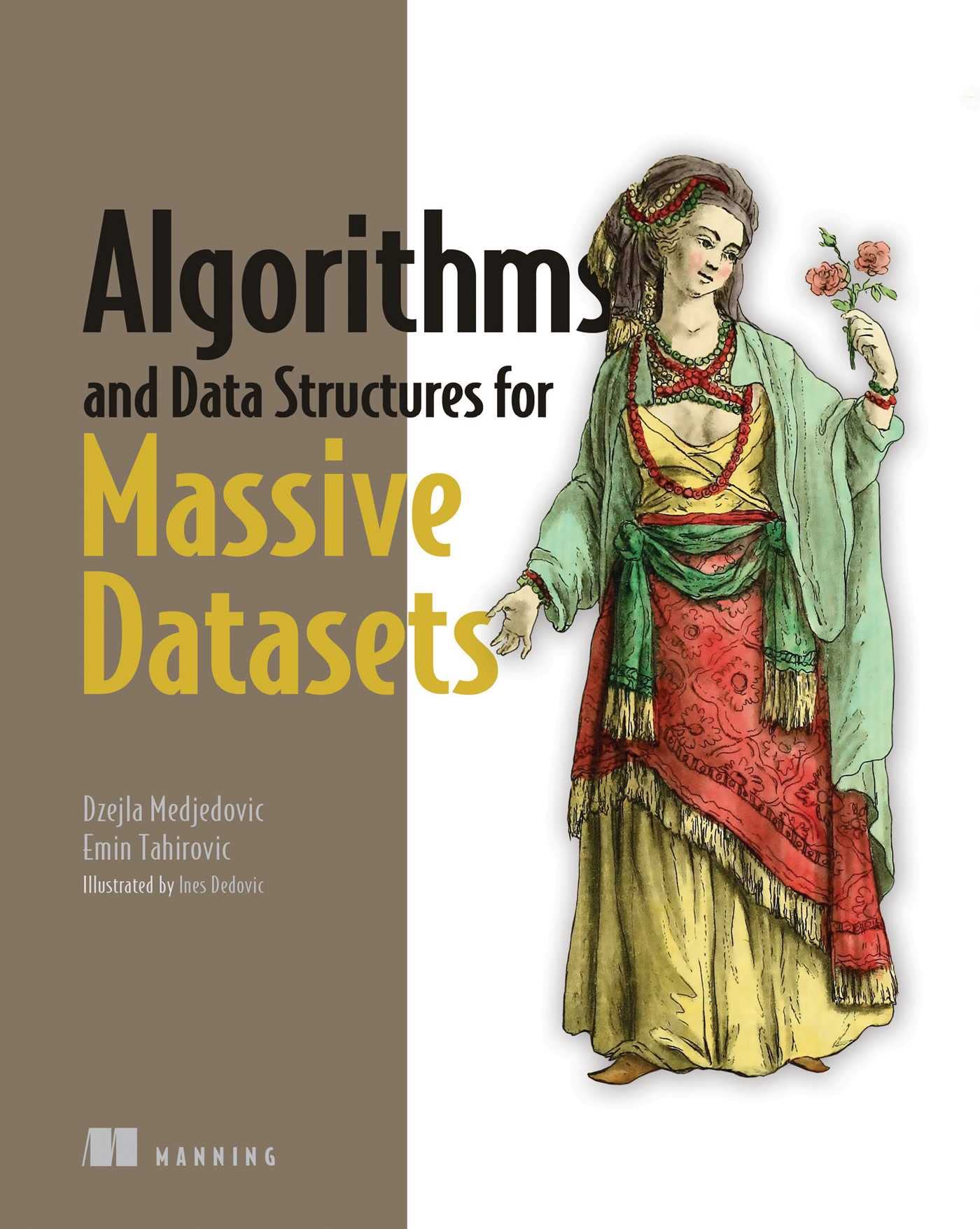 Algorithms and Data Structures for Massive Datasets — used book cover