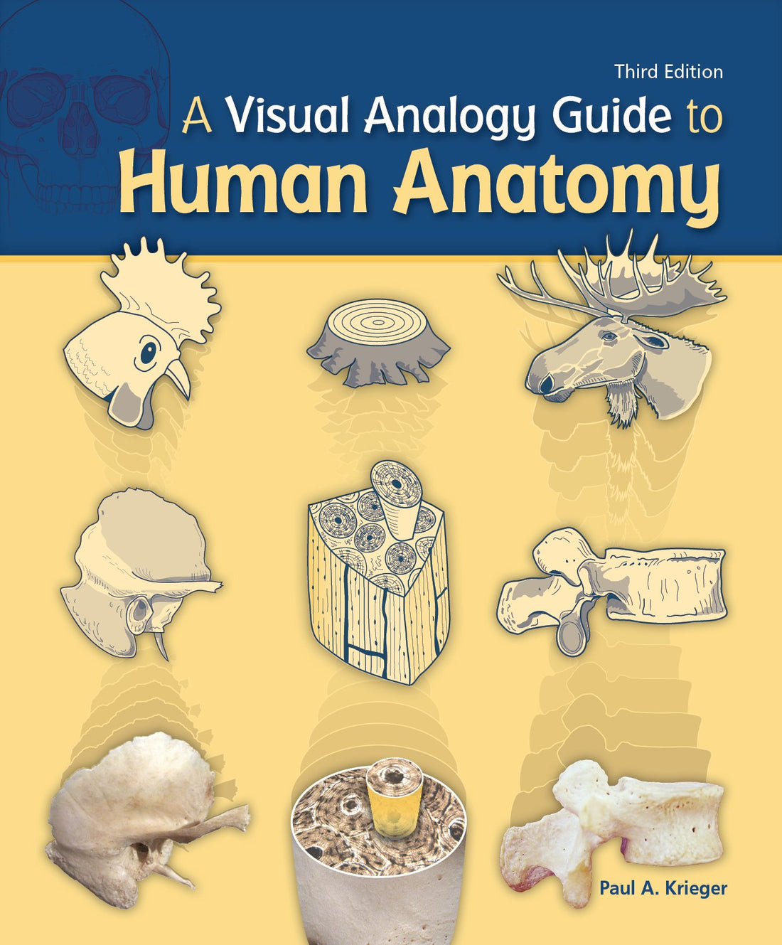 A Visual Analogy Guide to Human Anatomy — used book cover
