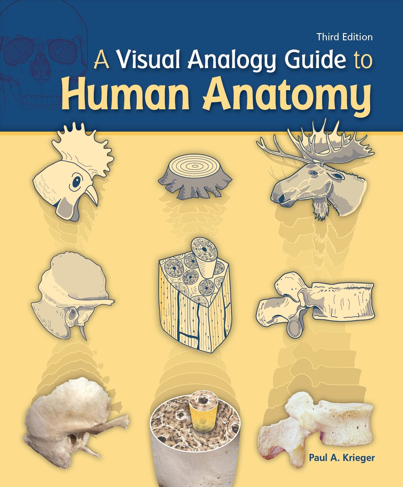 A Visual Analogy Guide to Human Anatomy — used book cover