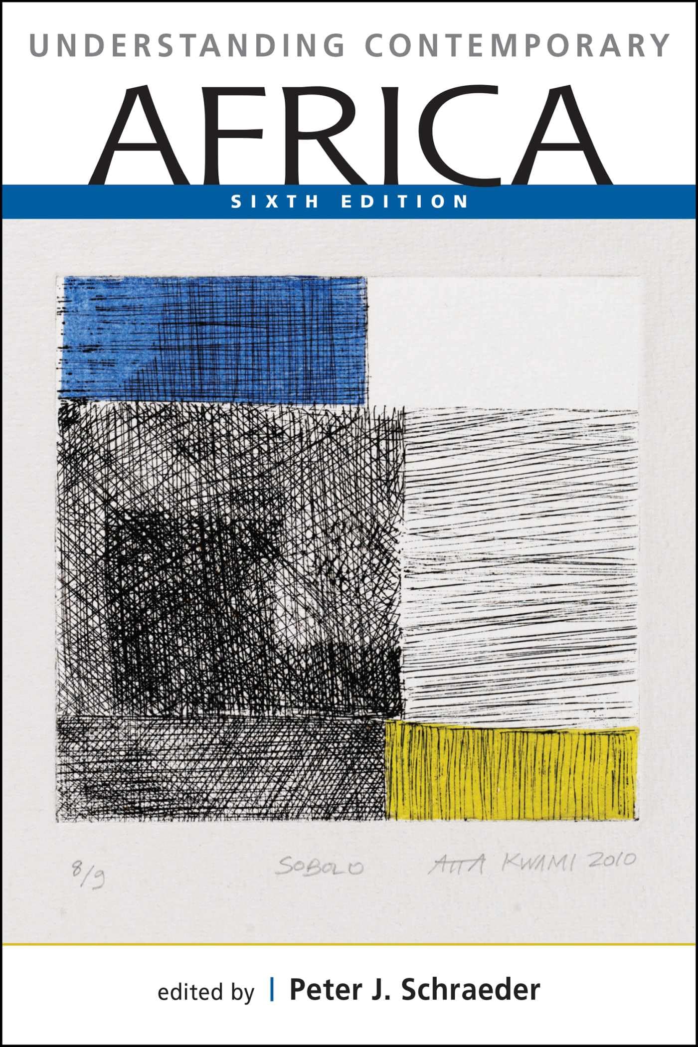 Understanding Contemporary Africa — used book cover