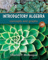 Introductory Algebra: Concepts & Graphs, 2E, with online access — used book cover