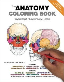 The Anatomy Coloring Book — used book cover