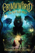 Grimmworld 2: The Big Bad Wolf — used book cover