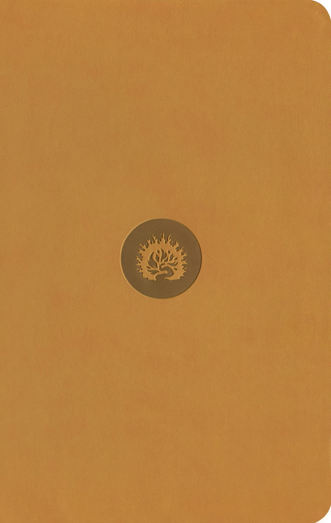 ESV Reformation Study Bible, Student Edition - Marigold, Leather-Like — used book cover