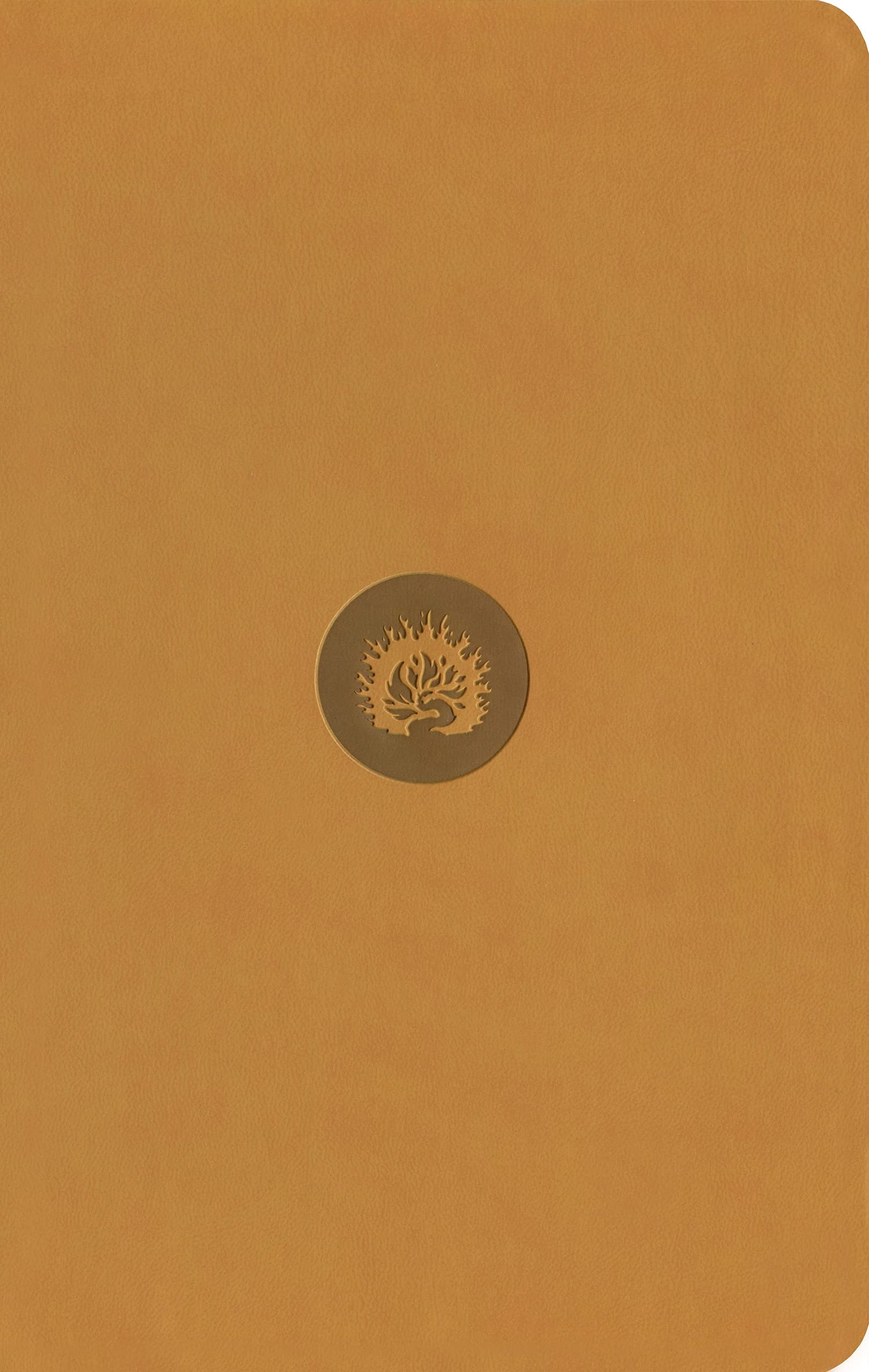 ESV Reformation Study Bible, Student Edition - Marigold, Leather-Like — used book cover