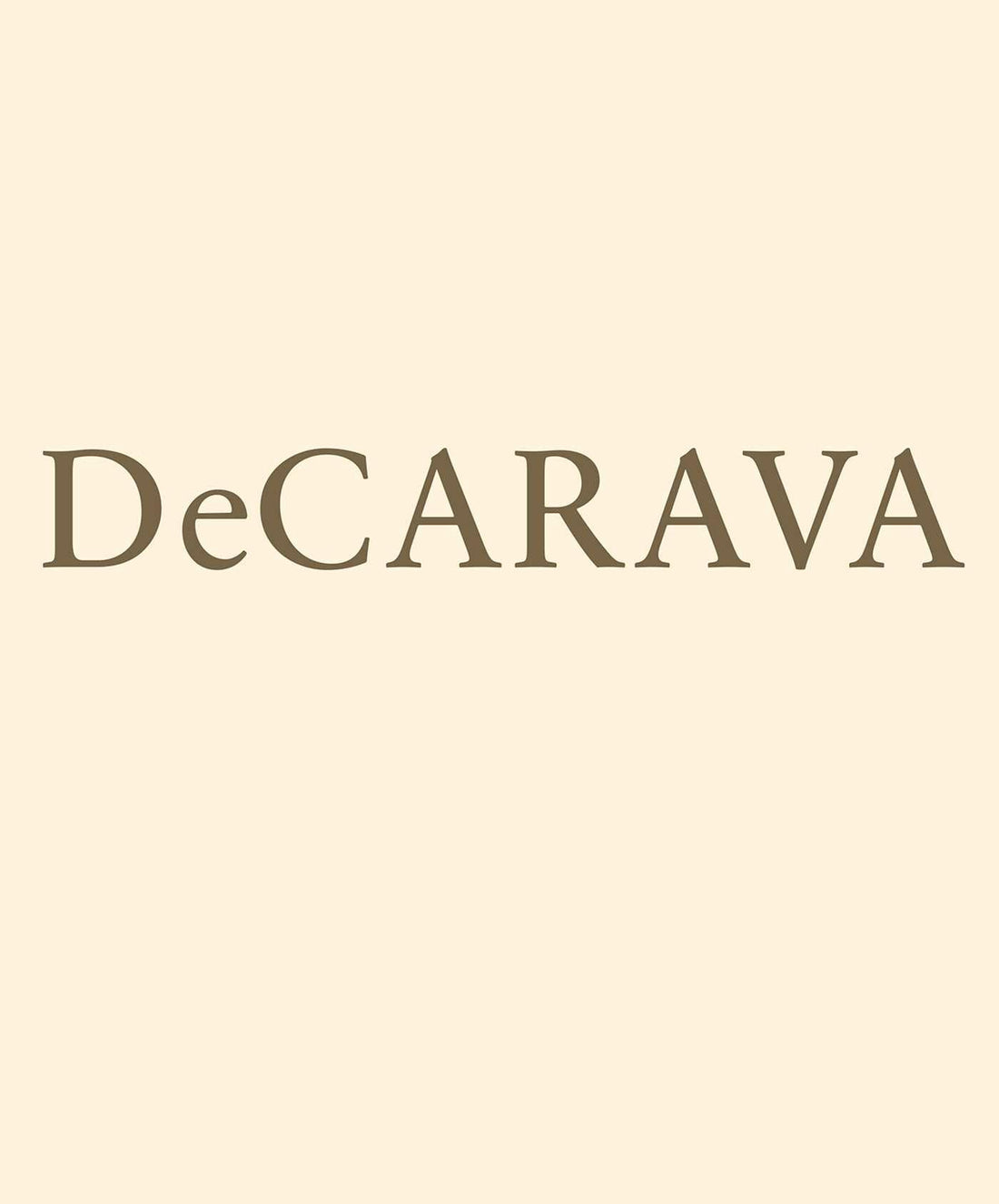 Roy DeCarava: Light Break — used book cover