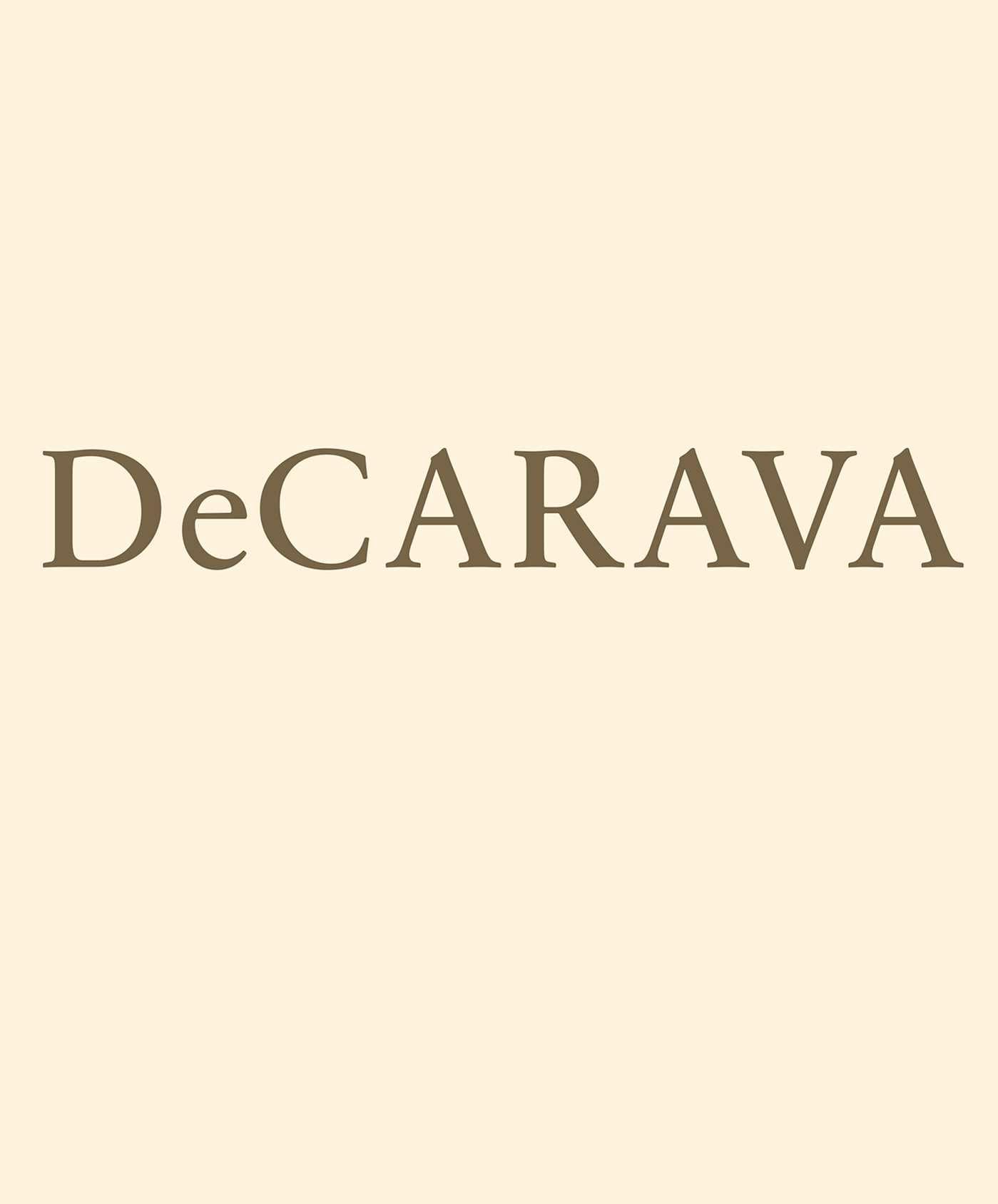 Roy DeCarava: Light Break — used book cover