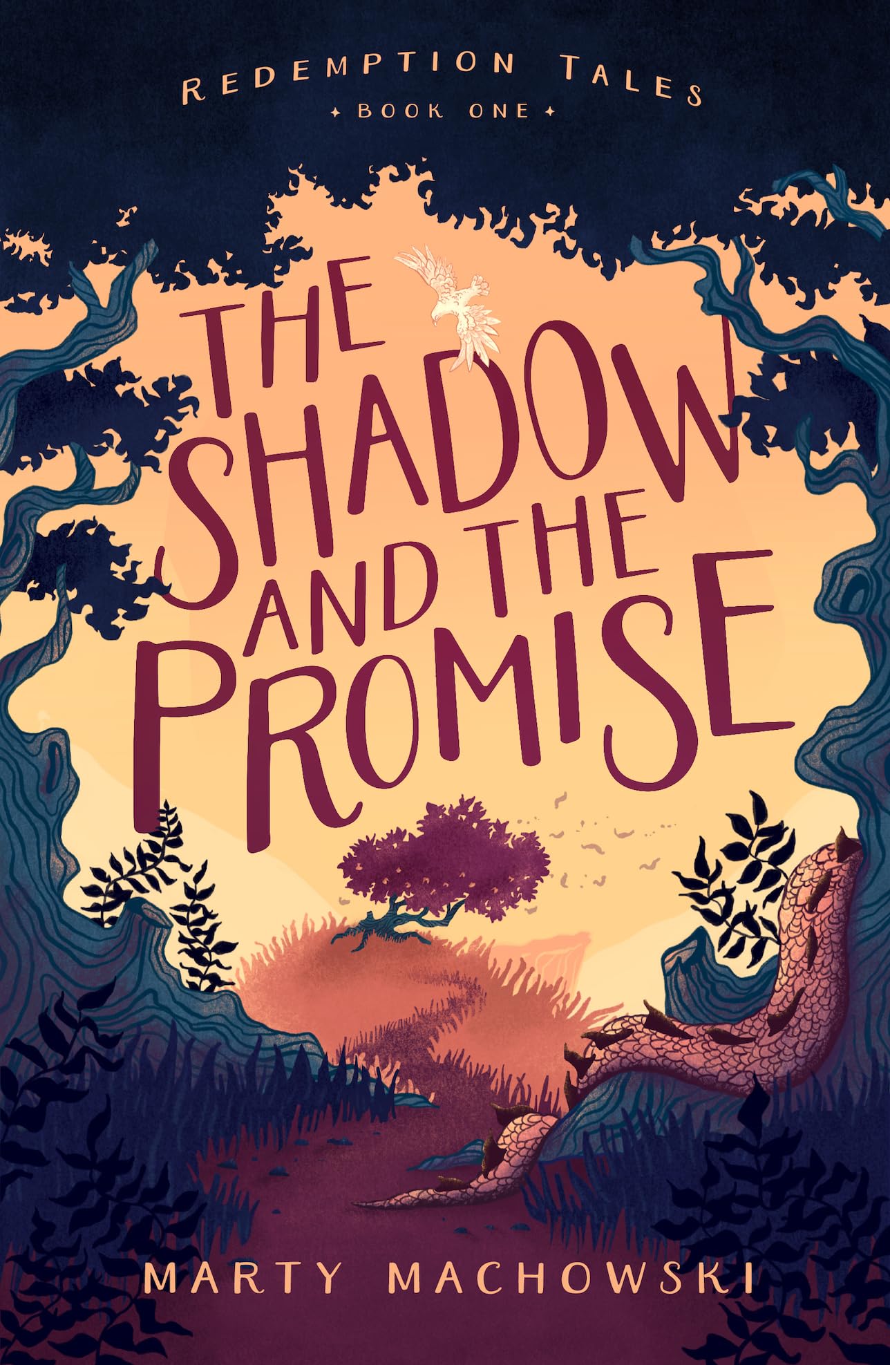 The Shadow and the Promise — used book cover