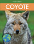 Coyote: Fascinating Animal Facts for Kids — used book cover