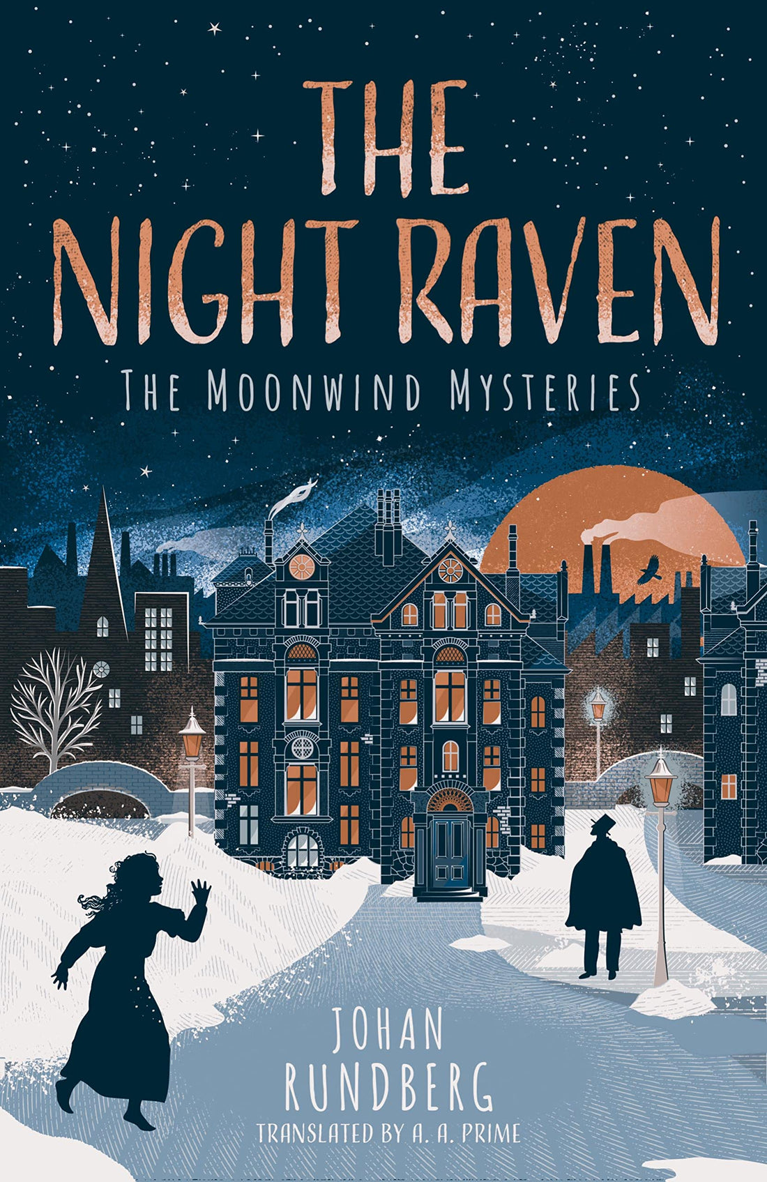 The Night Raven — used book cover