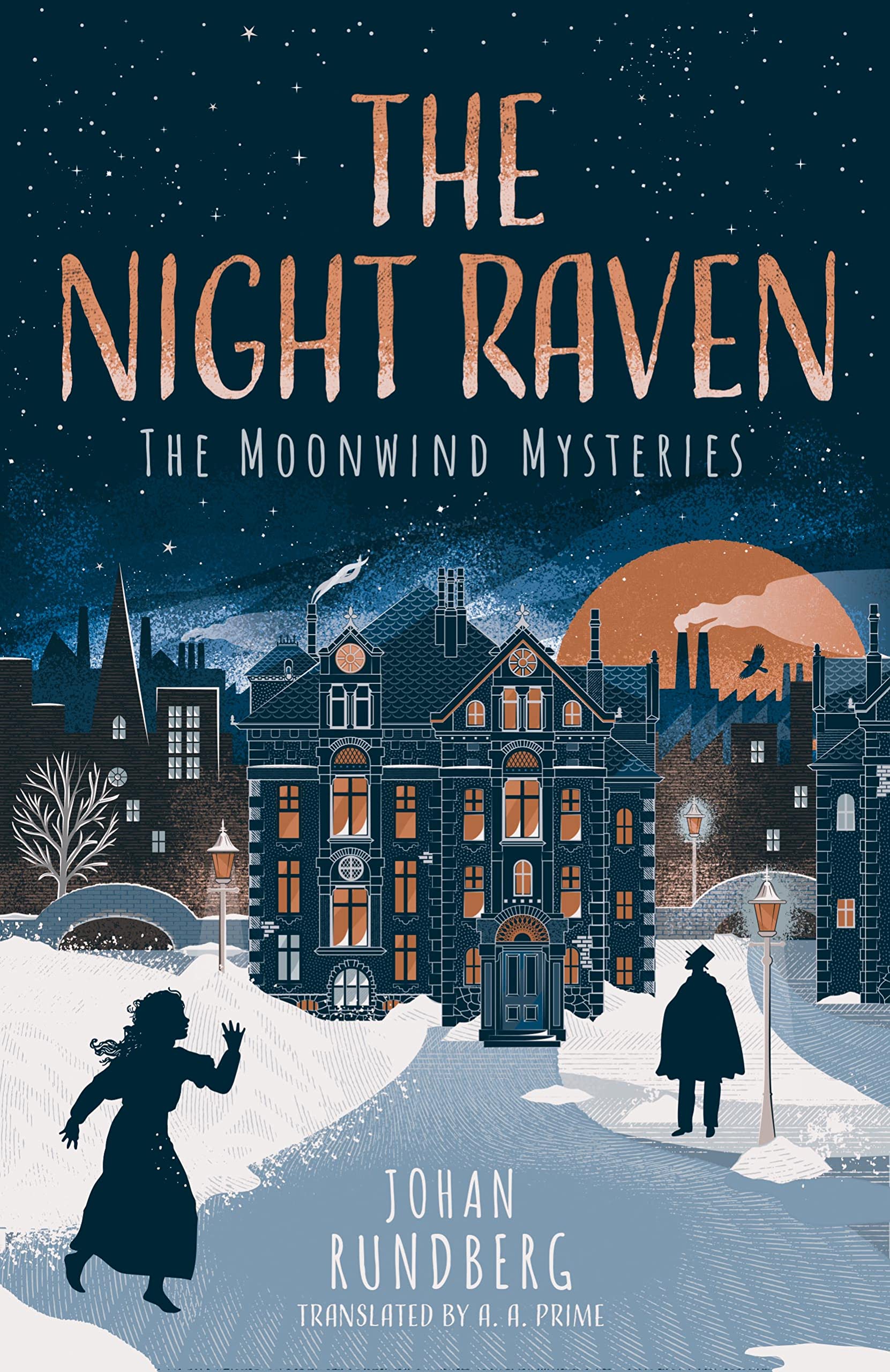 The Night Raven — used book cover