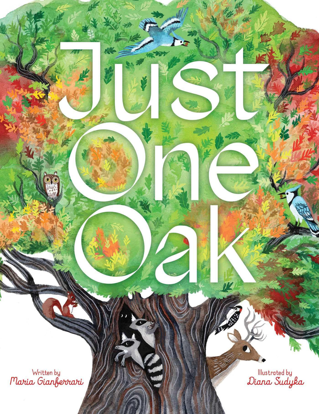 Just One Oak: What a Single Tree Can Be