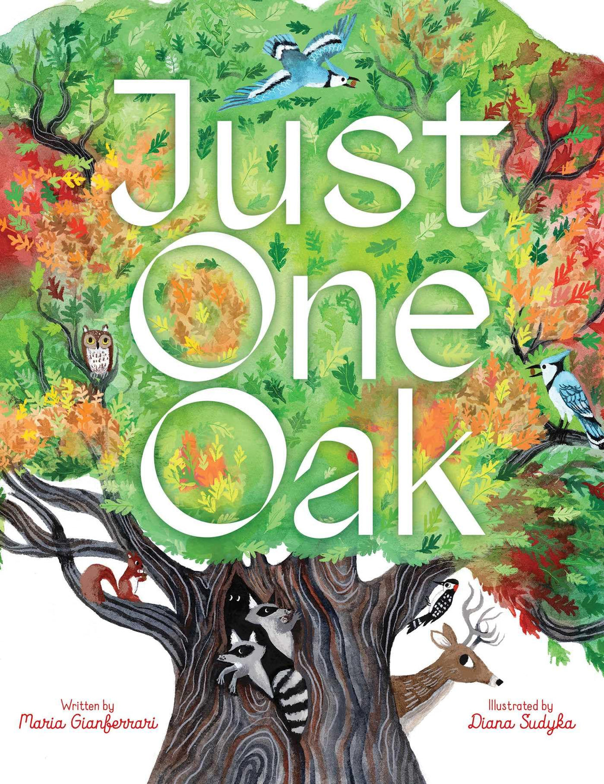 Just One Oak: What a Single Tree Can Be