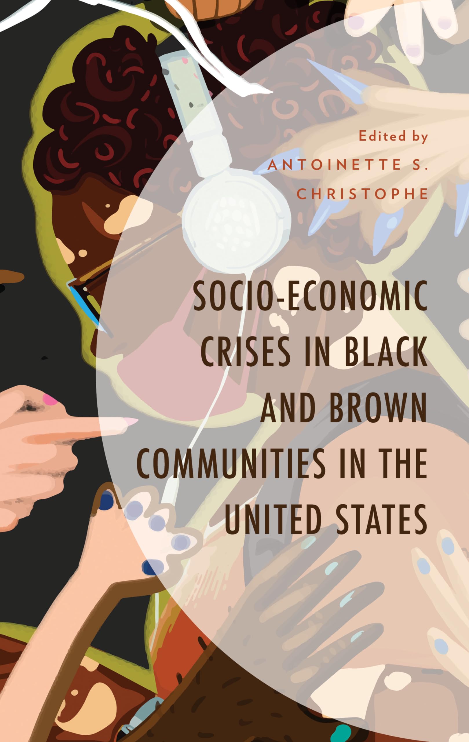 Socio-Economic Crises in Black and Brown Communities in the United States (Contemporary Perspectives on Social Inequalities in the United States)