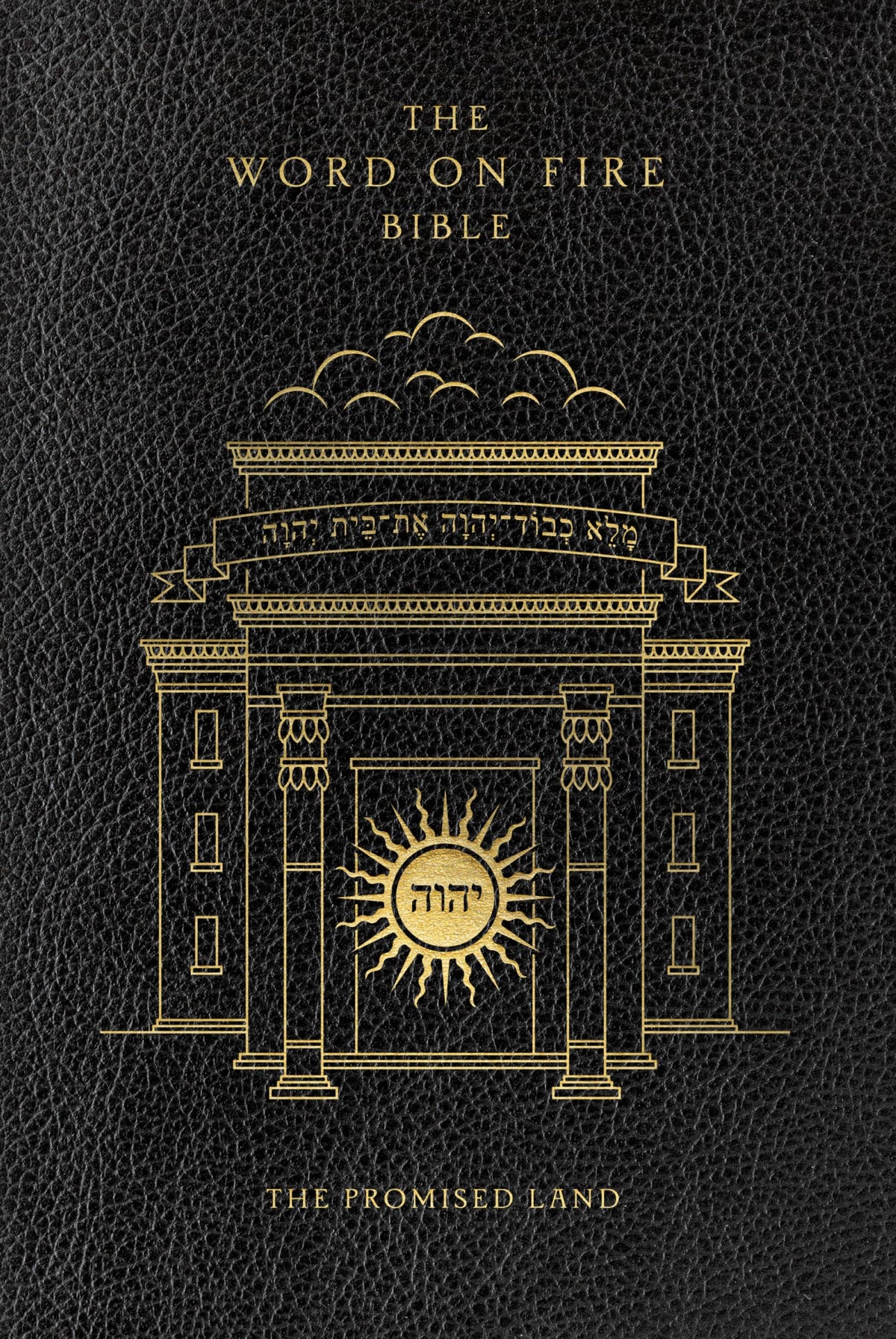 The Word on Fire Bible (Volume IV): The Promised Land (Leather) (Word on Fire Bible Series)