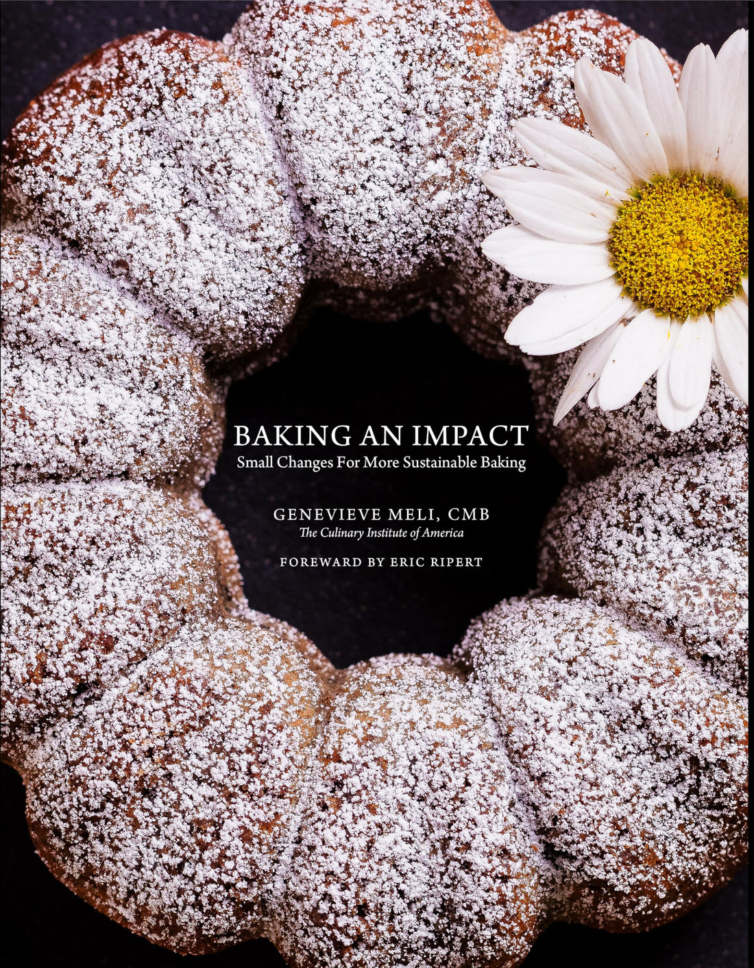 Baking an Impact — used book cover