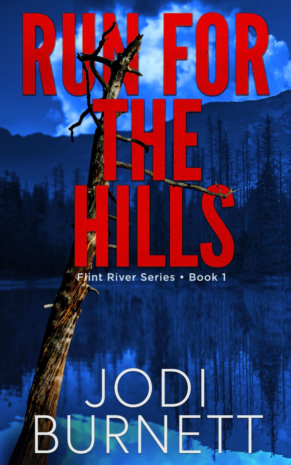 Run For The Hills (Flint River Series)