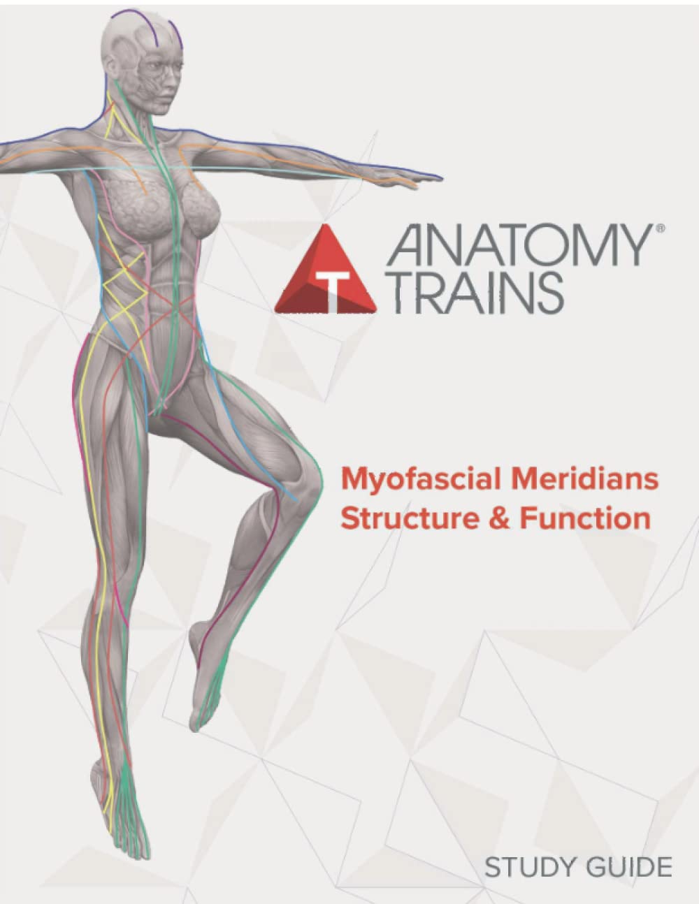 Anatomy Trains Myofascial Meridians Structure &amp; Function Study Guide