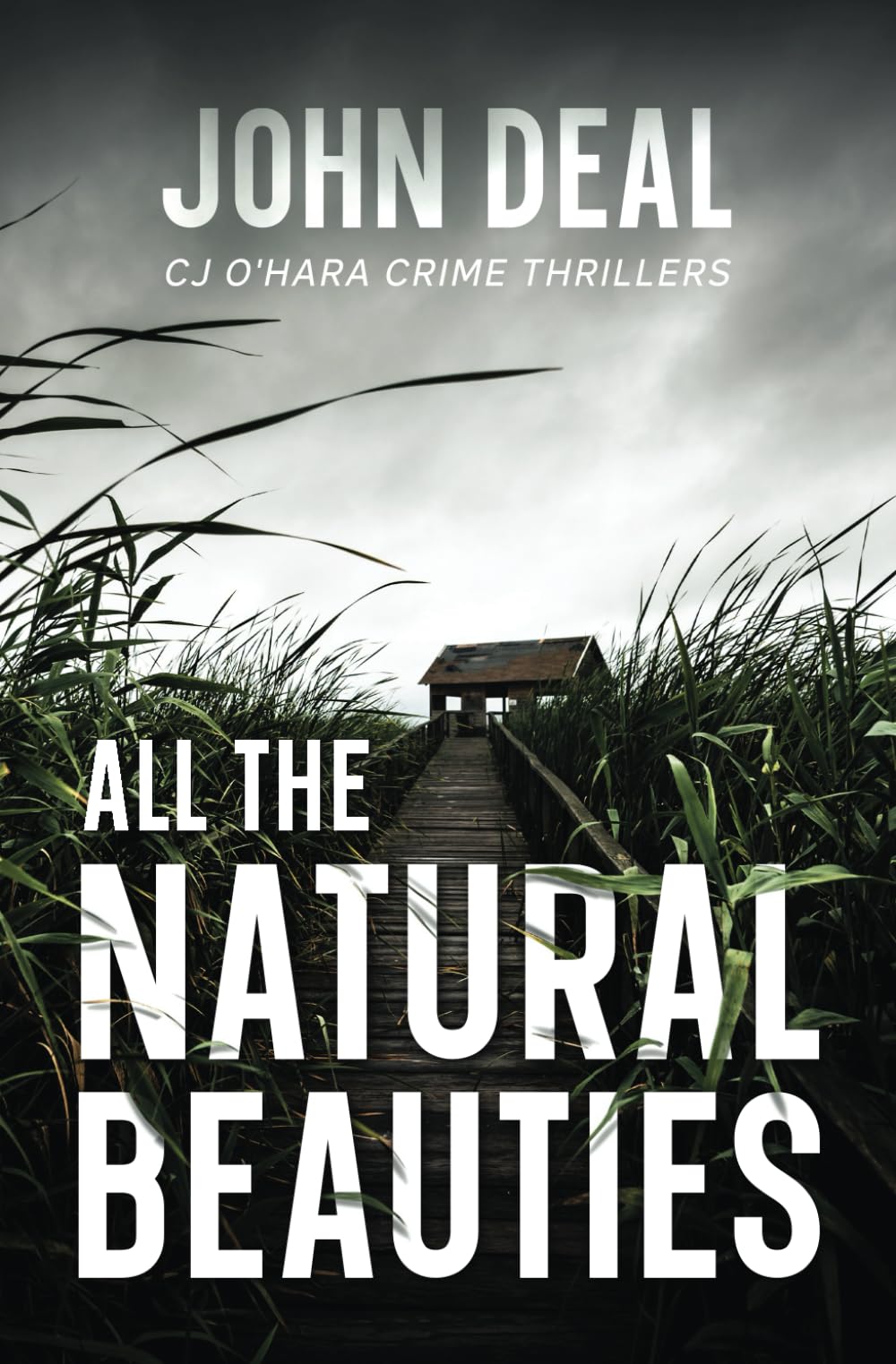 All the Natural Beauties: A Suspense Thriller (Detective CJ O&