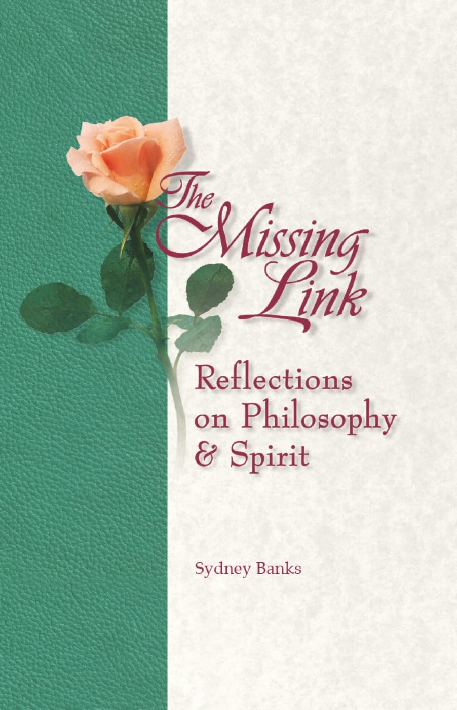 The Missing Link — used book cover