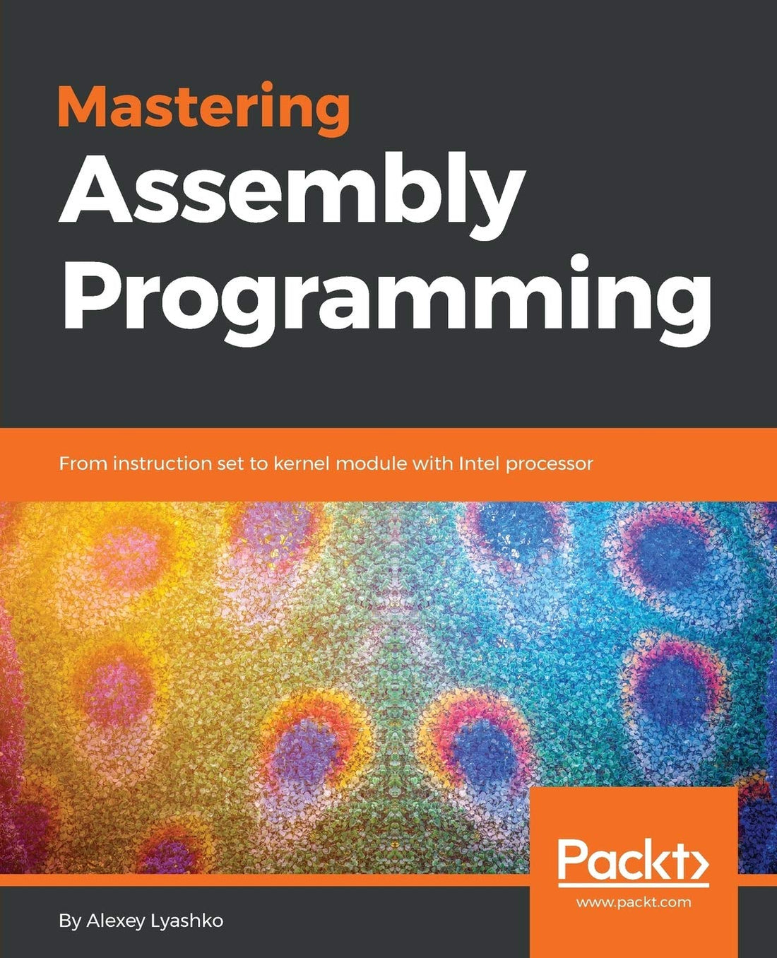 Mastering Assembly Programming — used book cover