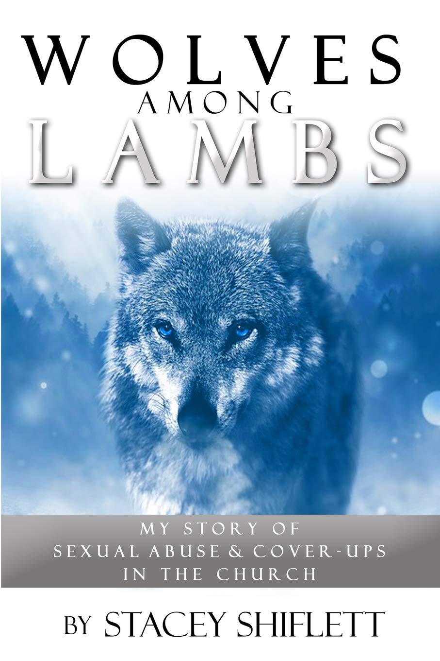Wolves Among Lambs — used book cover