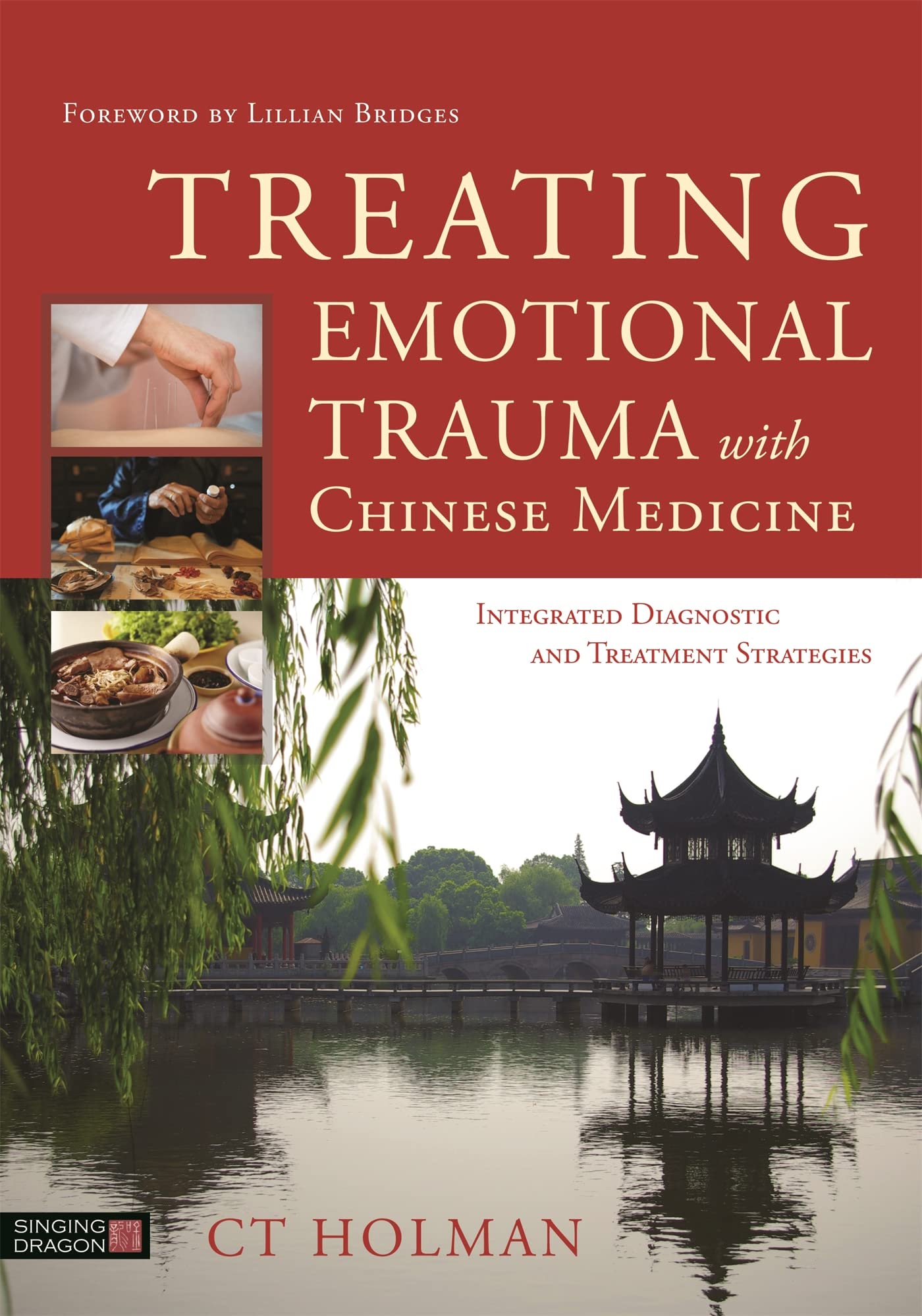Treating Emotional Trauma with Chinese Medicine: Integrated Diagnostic and Treatment Strategies