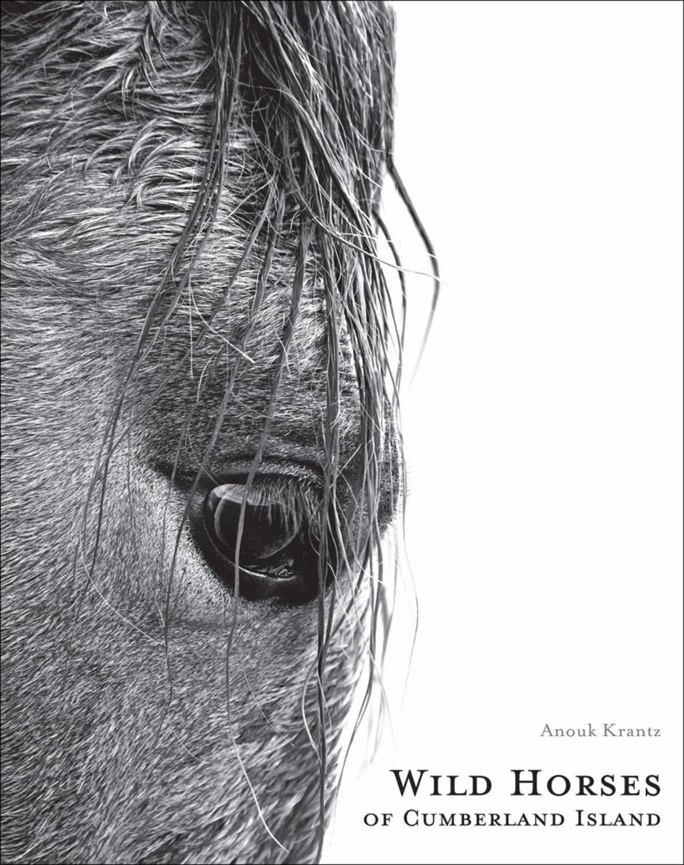 Wild Horses of Cumberland Island — used book cover