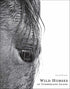 Wild Horses of Cumberland Island — used book cover