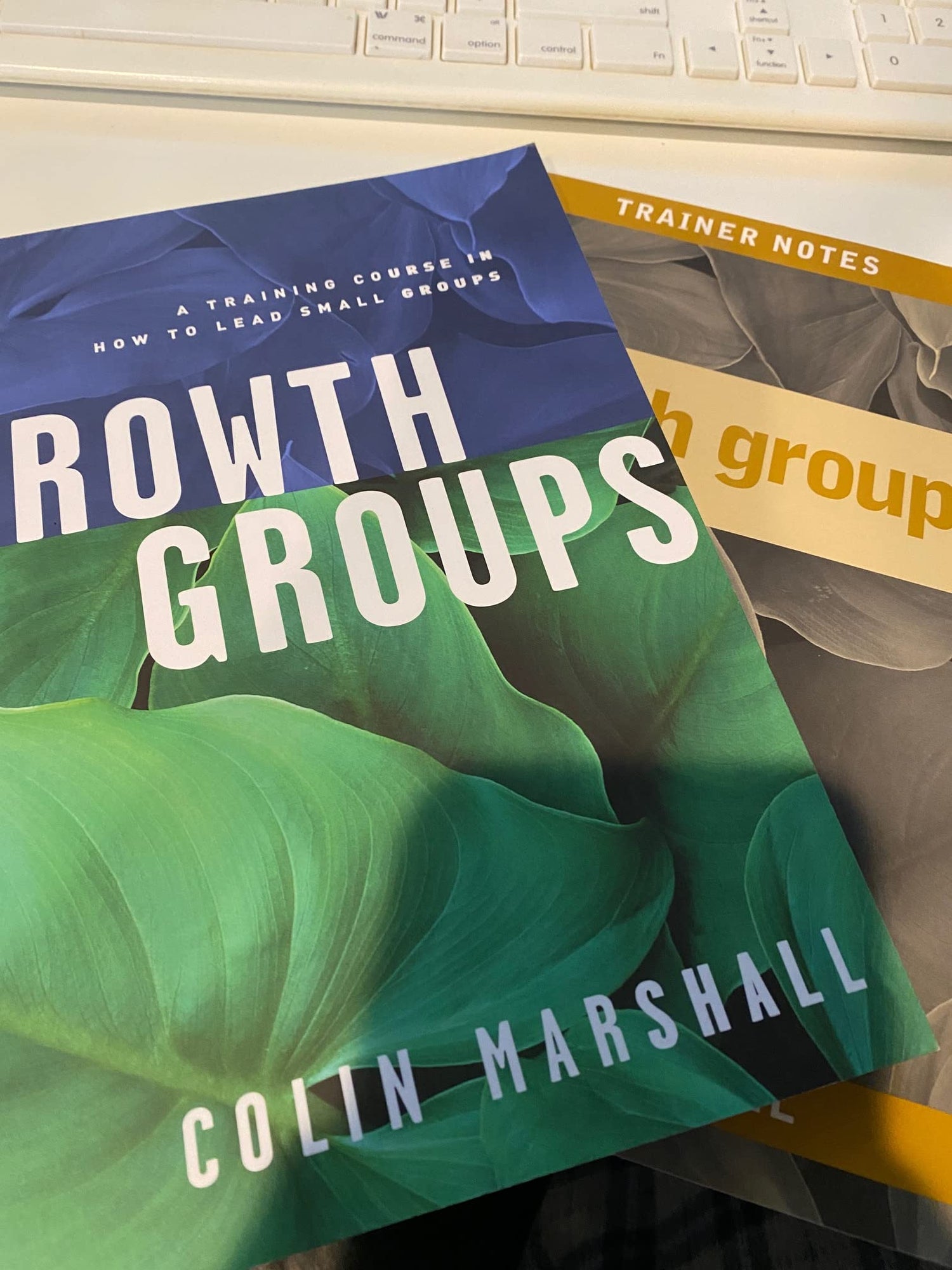 Growth Groups: a Trining Course for Small-group Leaders: Leader&