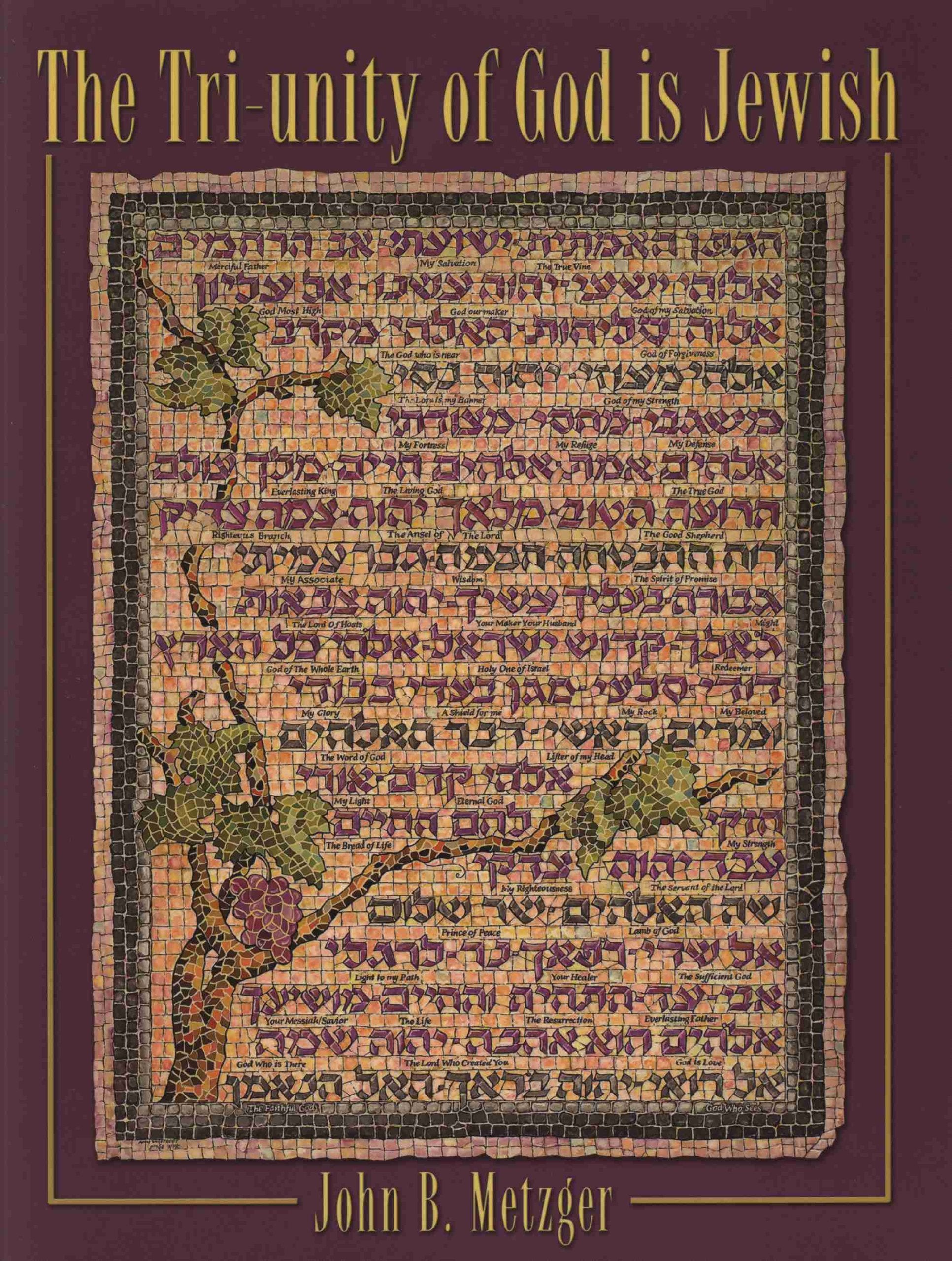 The Tri-unity of God Is Jewish — used book cover