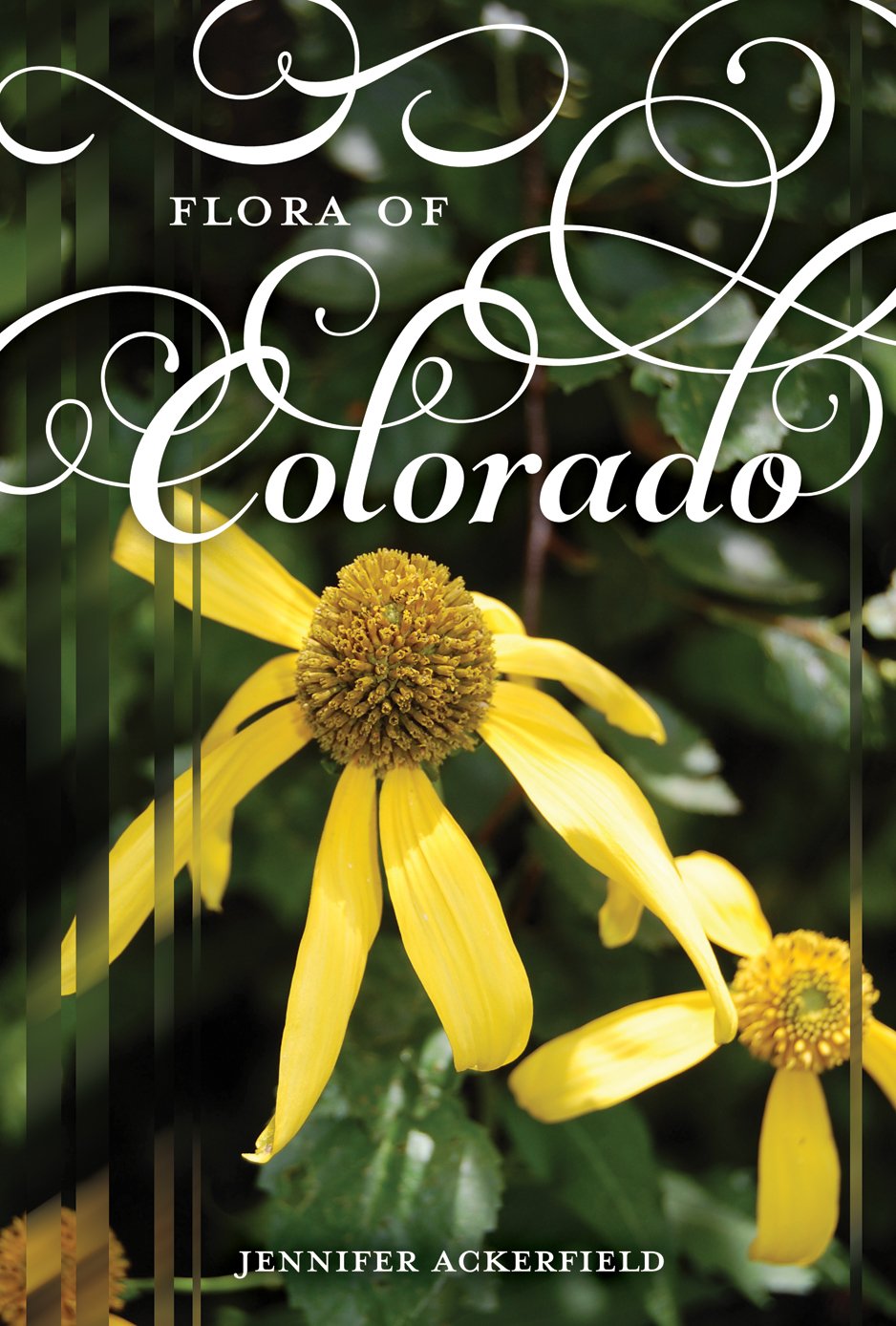 Flora of Colorado (Sida, Botanical Miscellany)