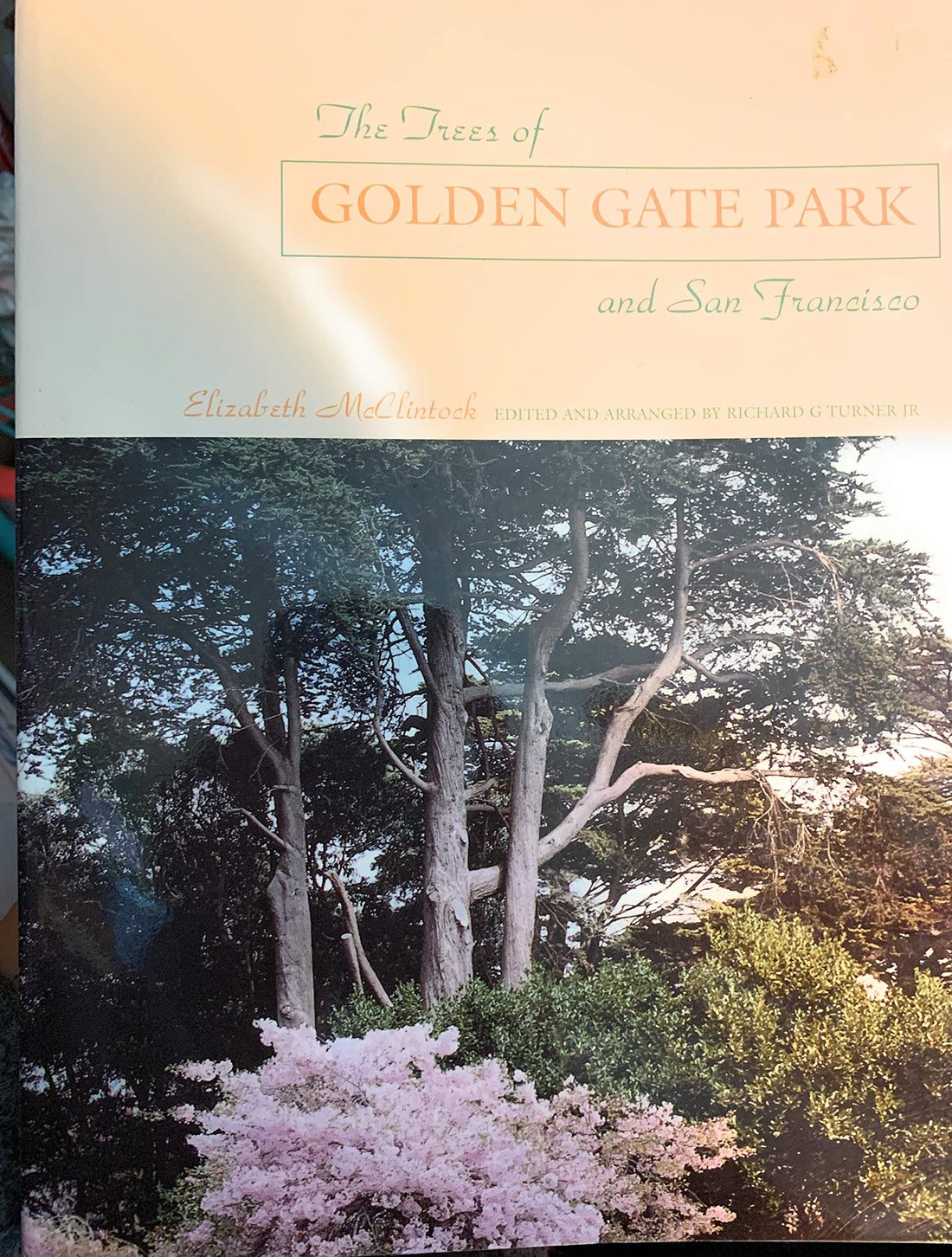 The Trees of Golden Gate Park and San Francisco