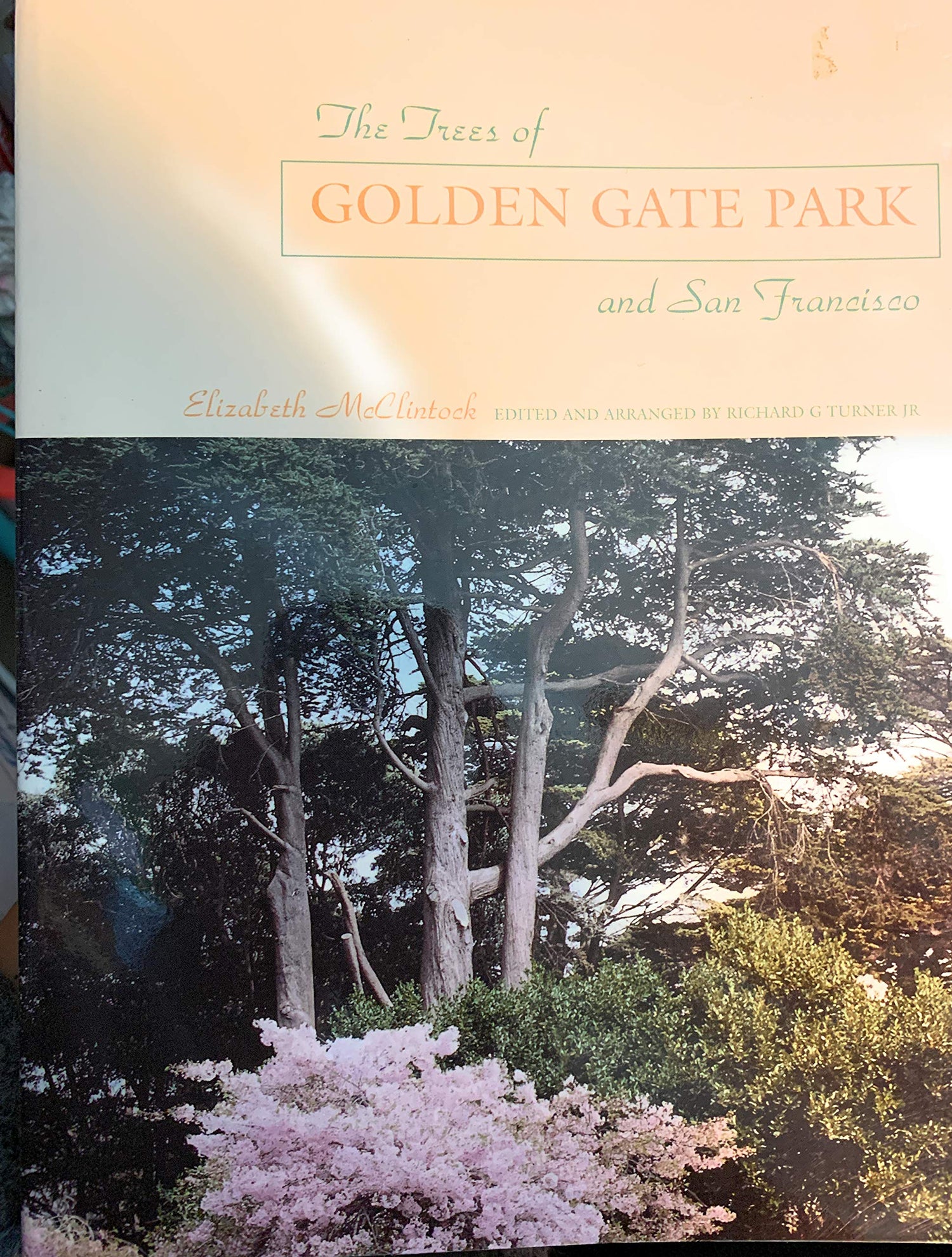 The Trees of Golden Gate Park and San Francisco