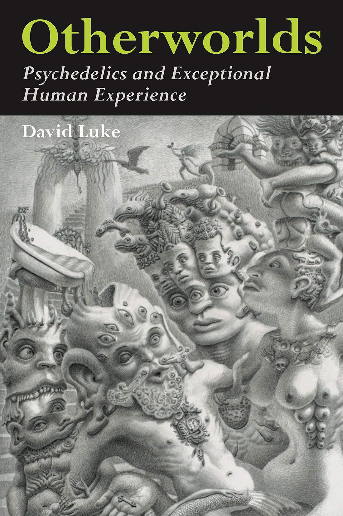 Otherworlds: Psychedelics and Exceptional Human Experience — used book cover