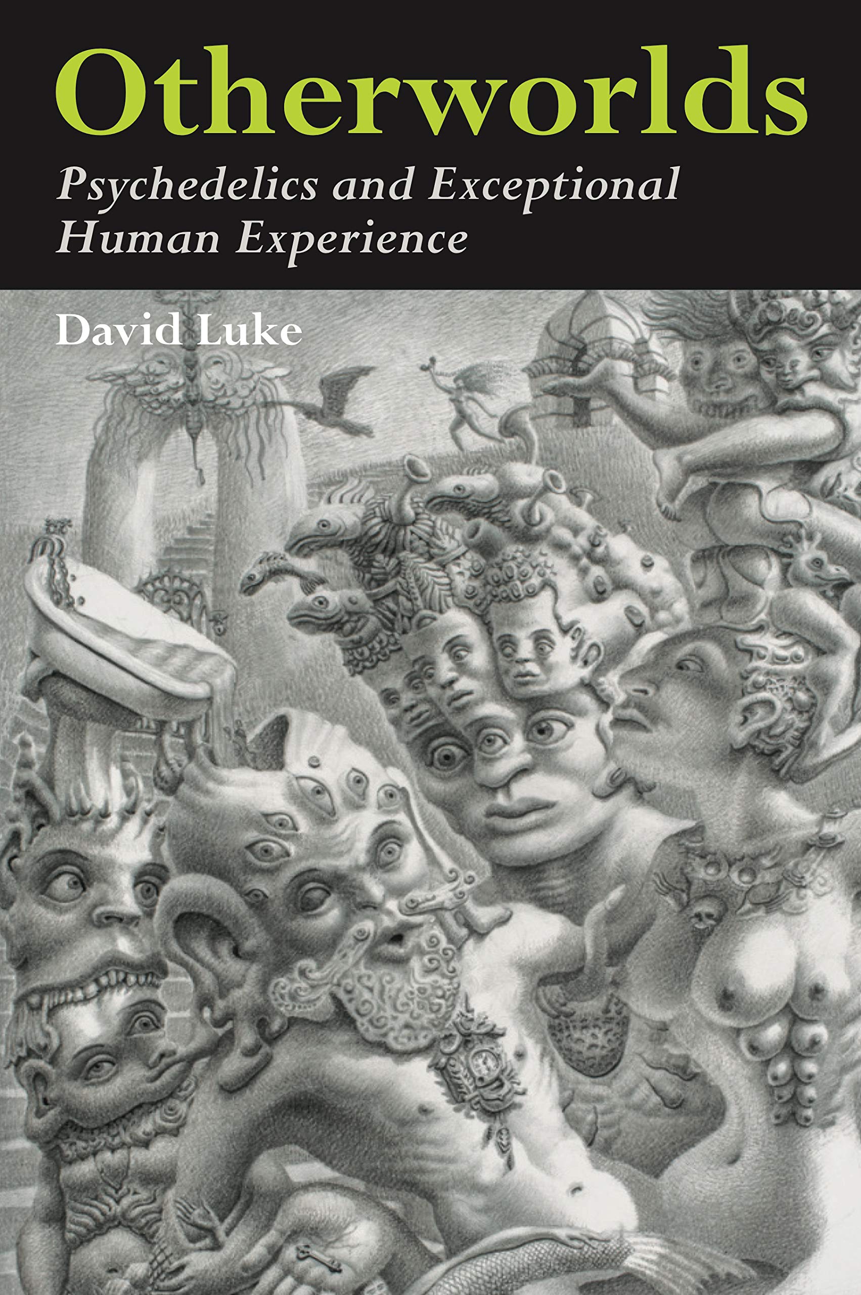 Otherworlds: Psychedelics and Exceptional Human Experience — used book cover