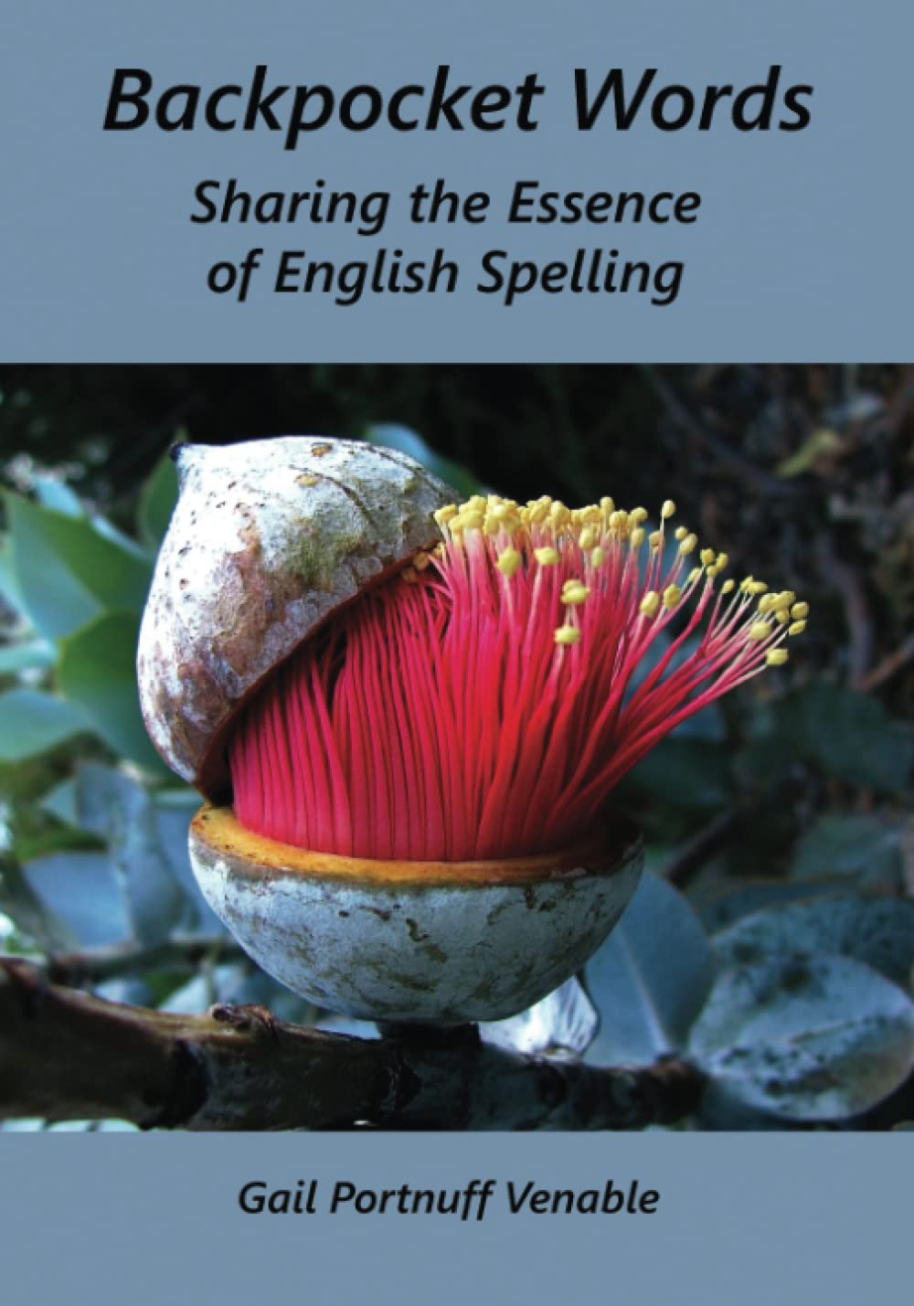 Backpocket Words: Sharing the Essence of English Spelling — used book cover