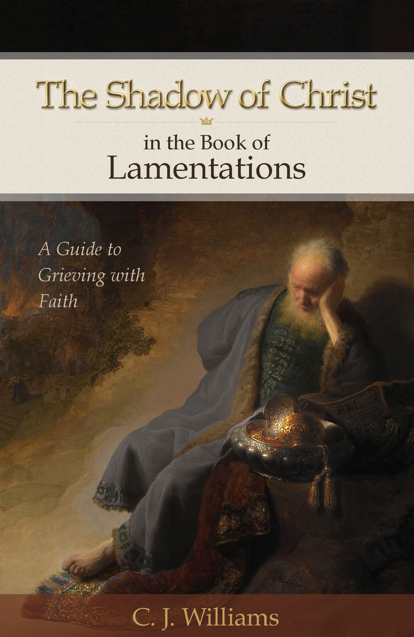The Shadow of Christ in the Book of Lamentations — used book cover