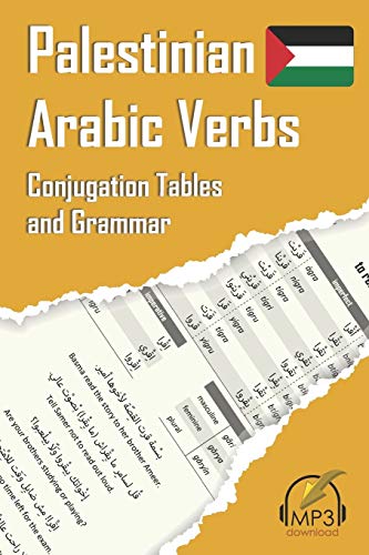 Palestinian Arabic Verbs — used book cover