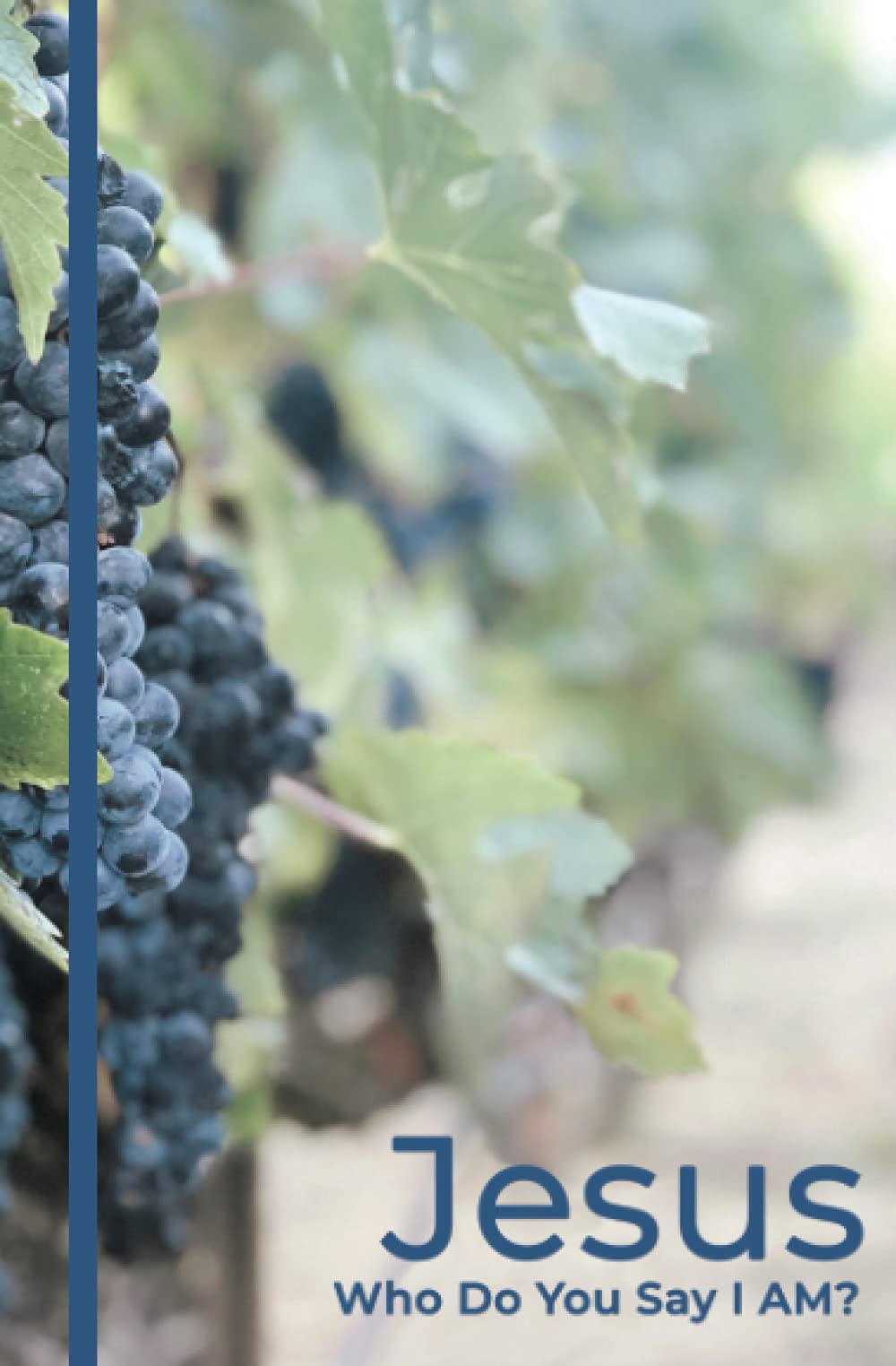 Jesus: Who do you say I am?