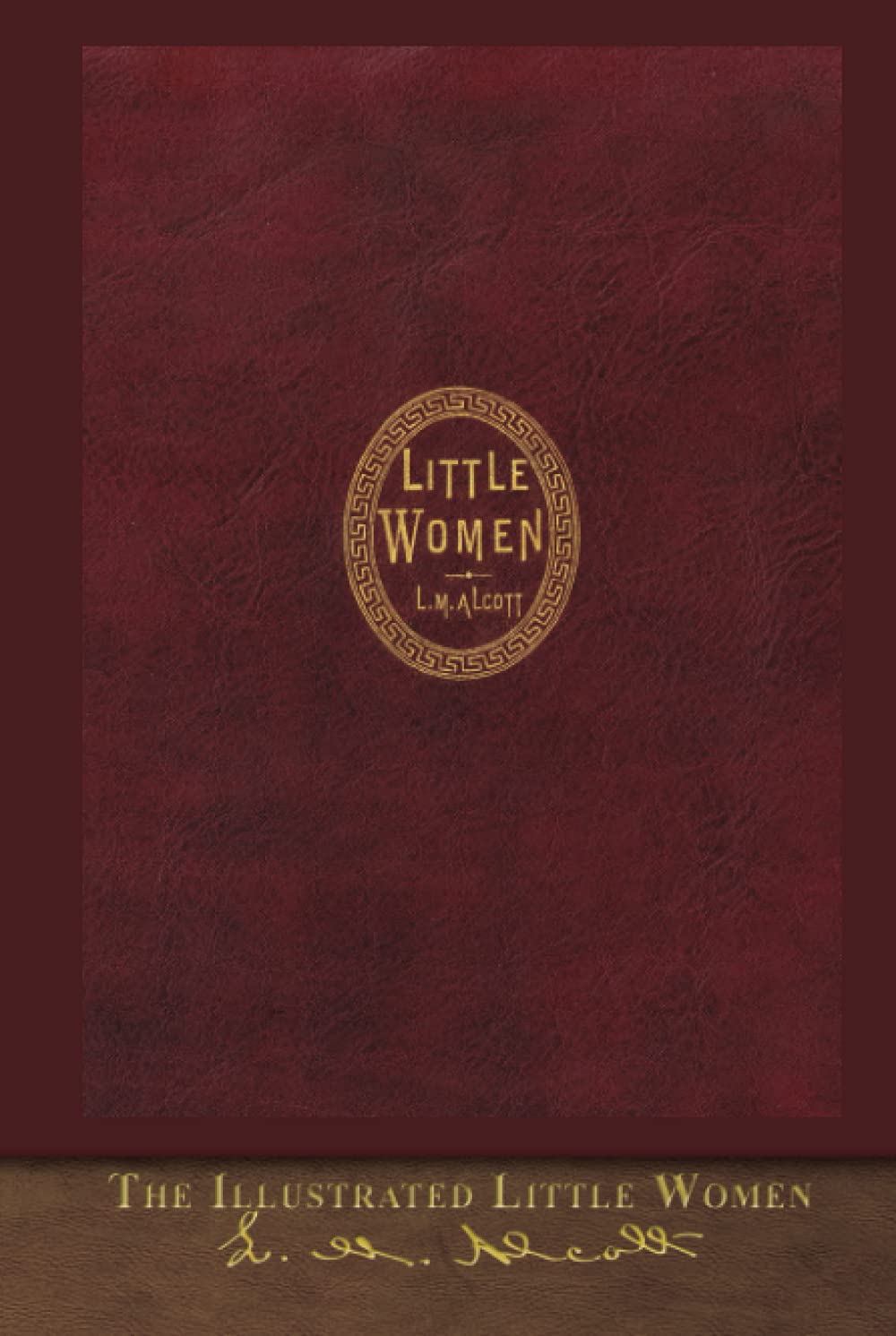 Illustrated Little Women — used book cover