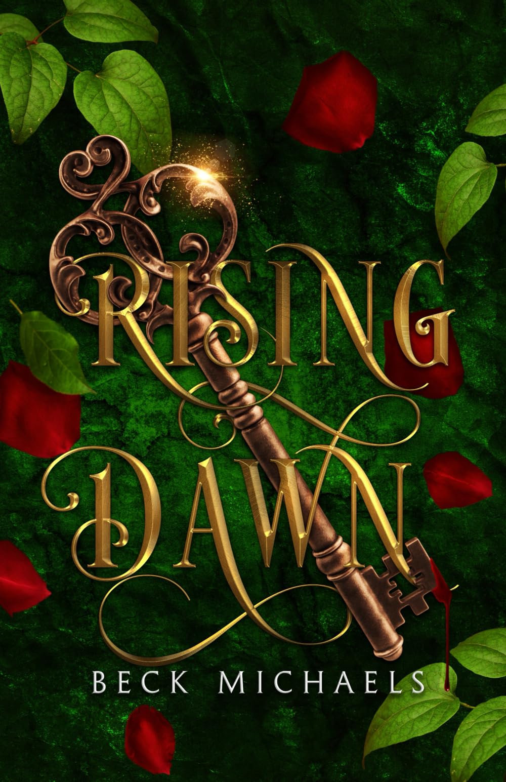 Rising Dawn — used book cover